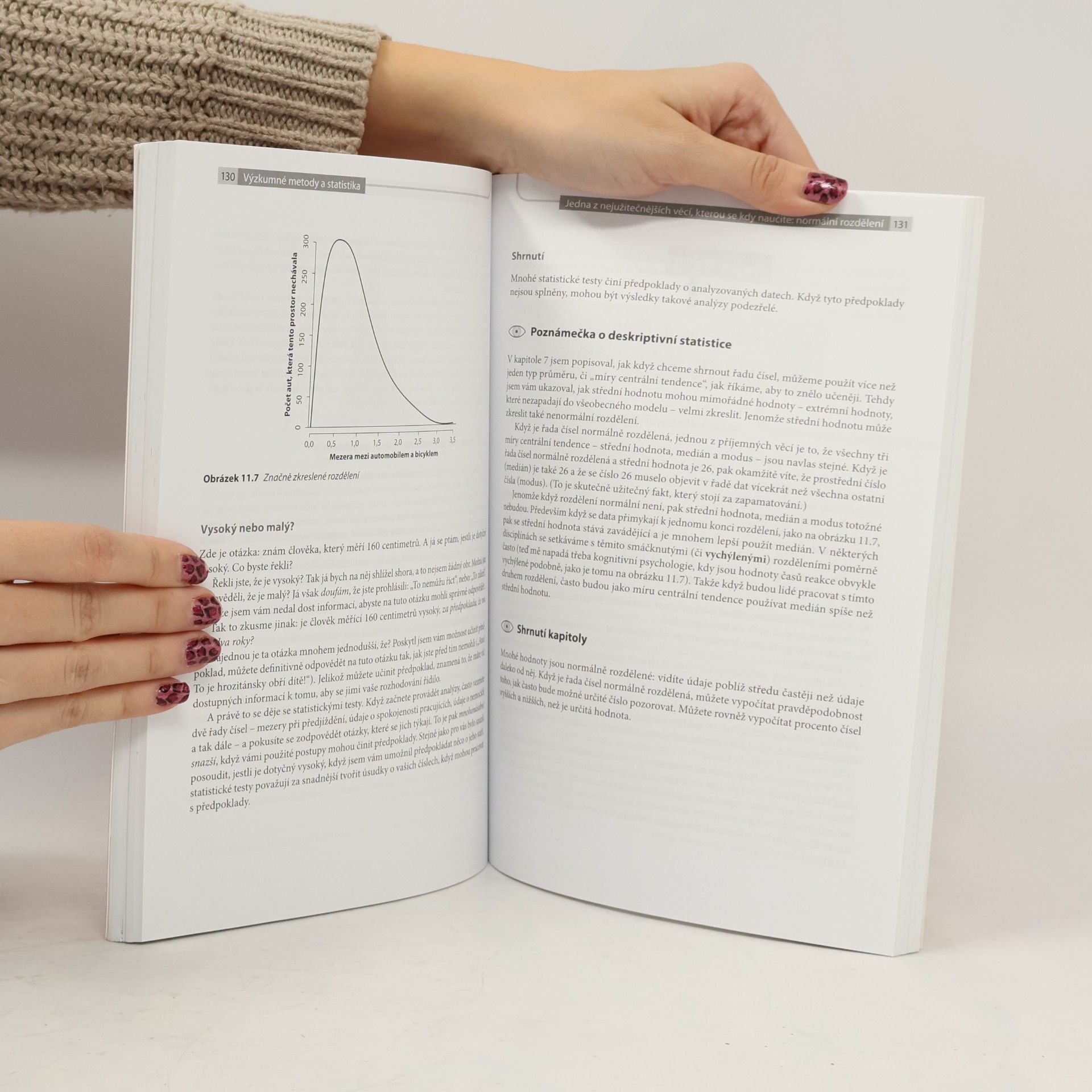 Ian W. Walker Výzkumné metody a statistika