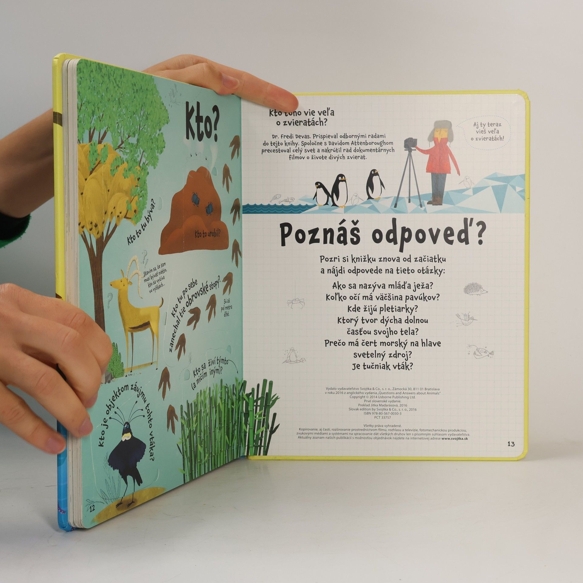 Katie Daynes Otázky a odpovede o zvieratách