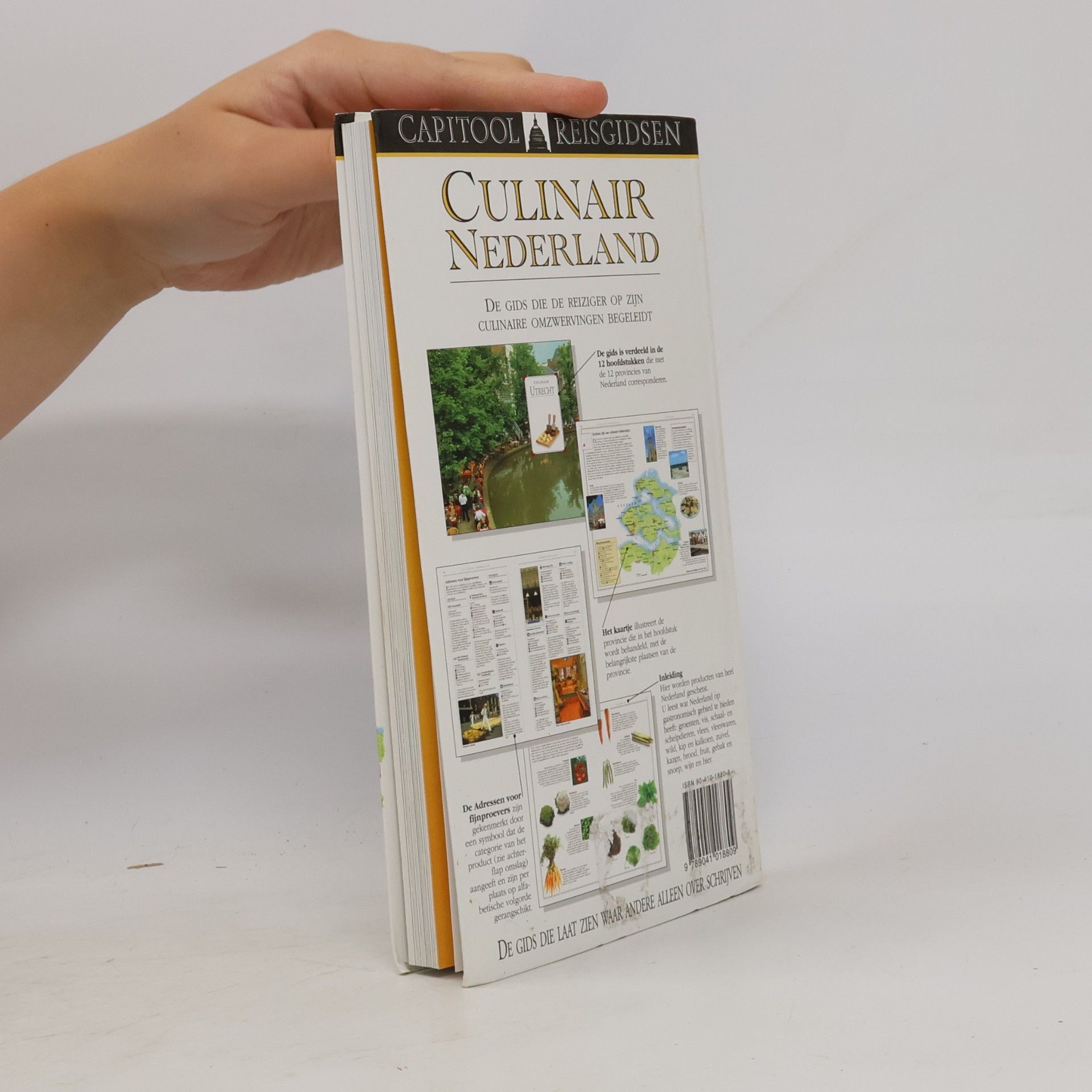 S. van de Rhoer Capitool Reisgidsen: Culinair Nederland