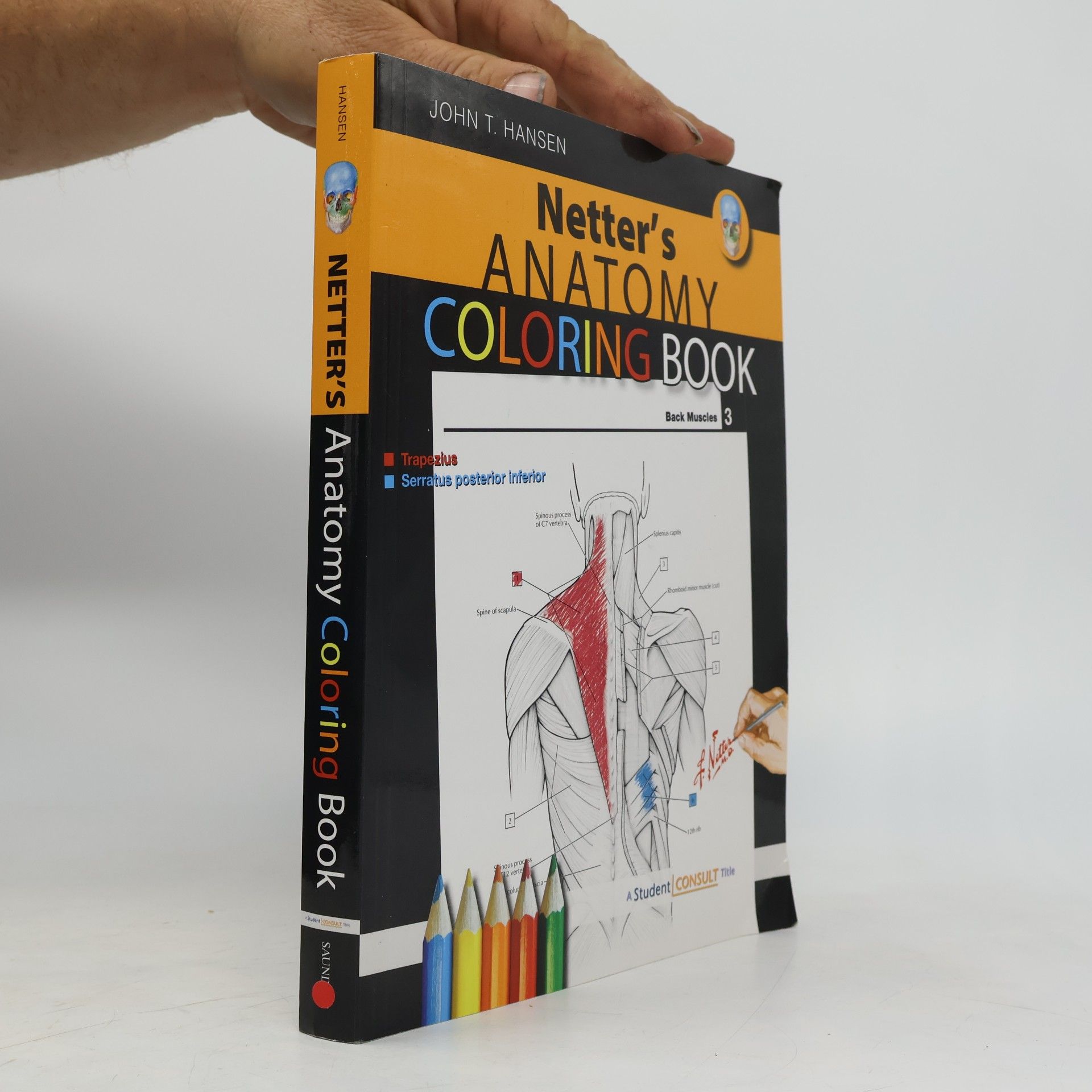 Netter's anatomy coloring book
