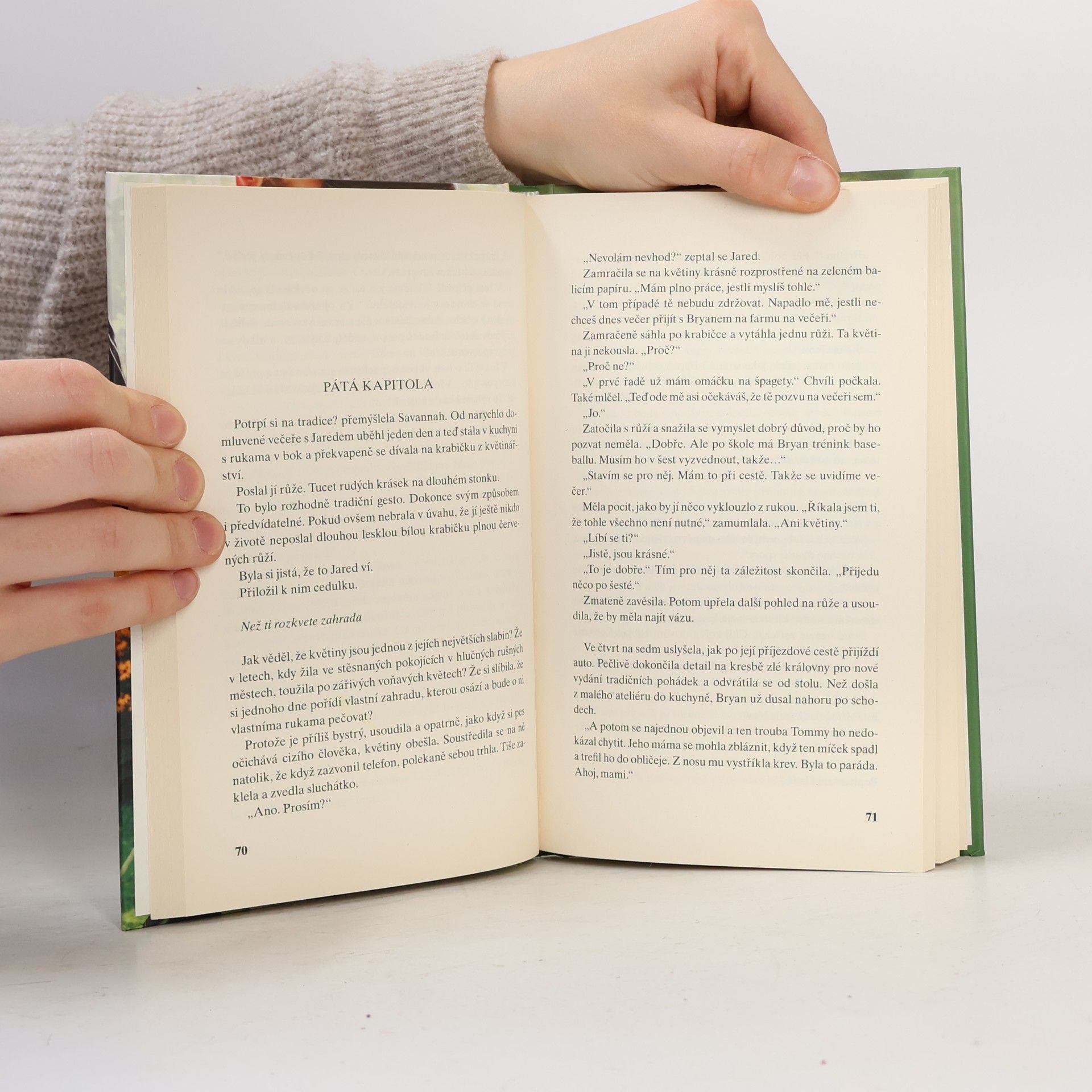 Nora Roberts V pasti lásky