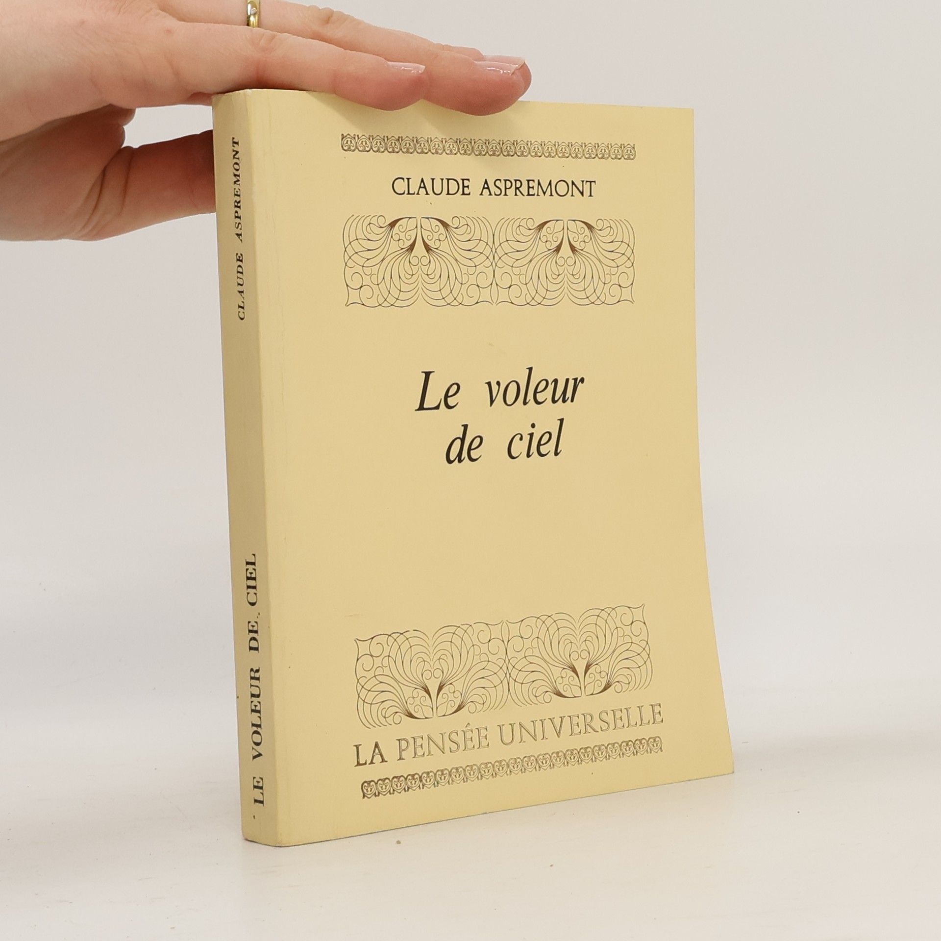 Le voleur de ciel
