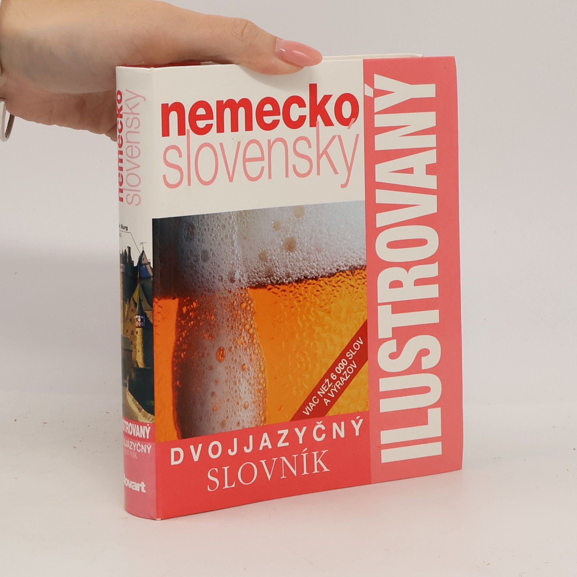 Dvojjazyčný nemecko slovenský ilustrovaný slovník