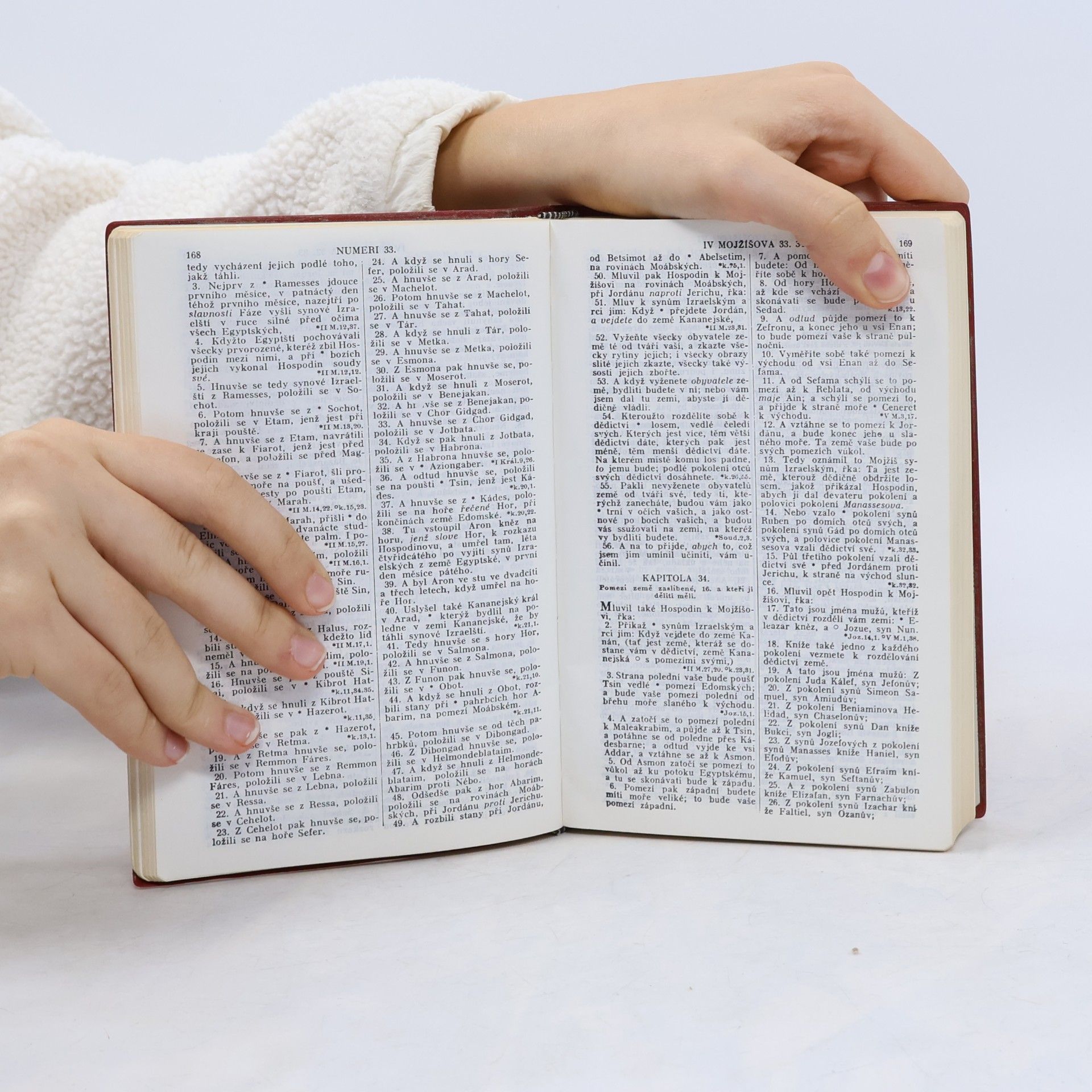 Kolektiv autorů Biblí svatá, aneb, Všecka svatá písma Starého i Nového zákona: podle posledního vydání Kralického z roku 1613