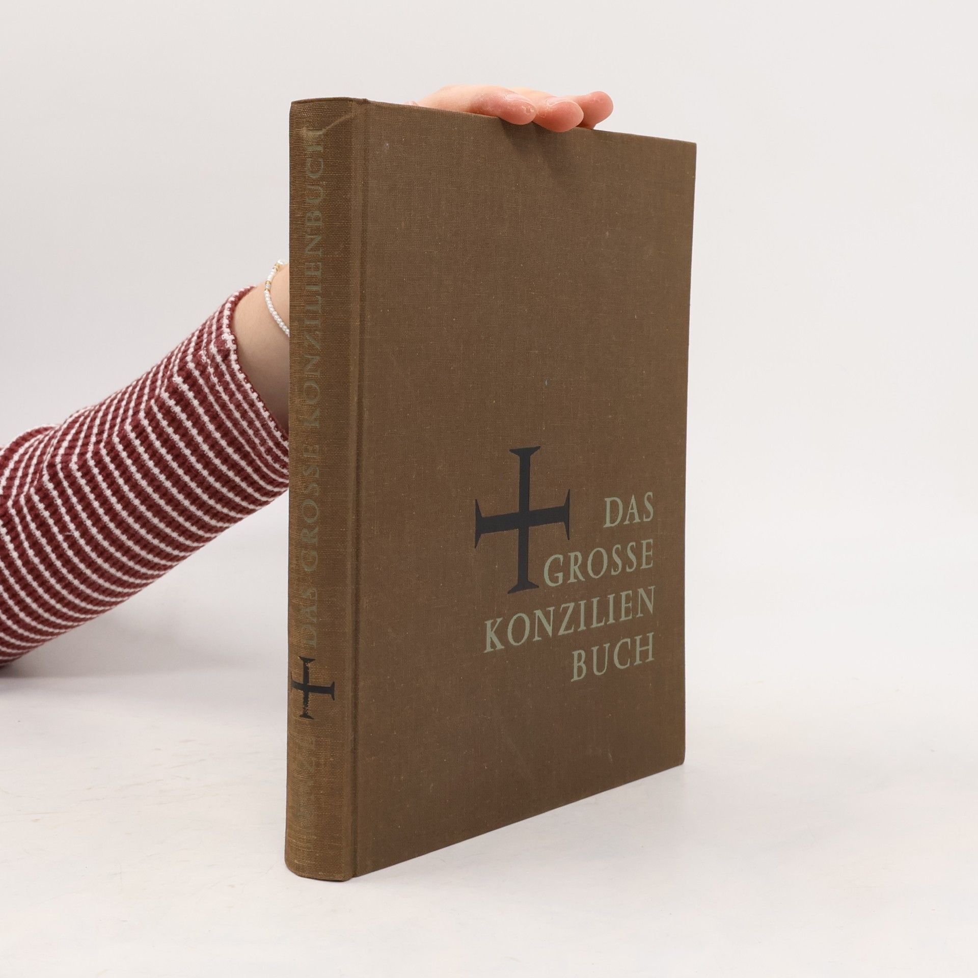 Das große Konzilienbuch