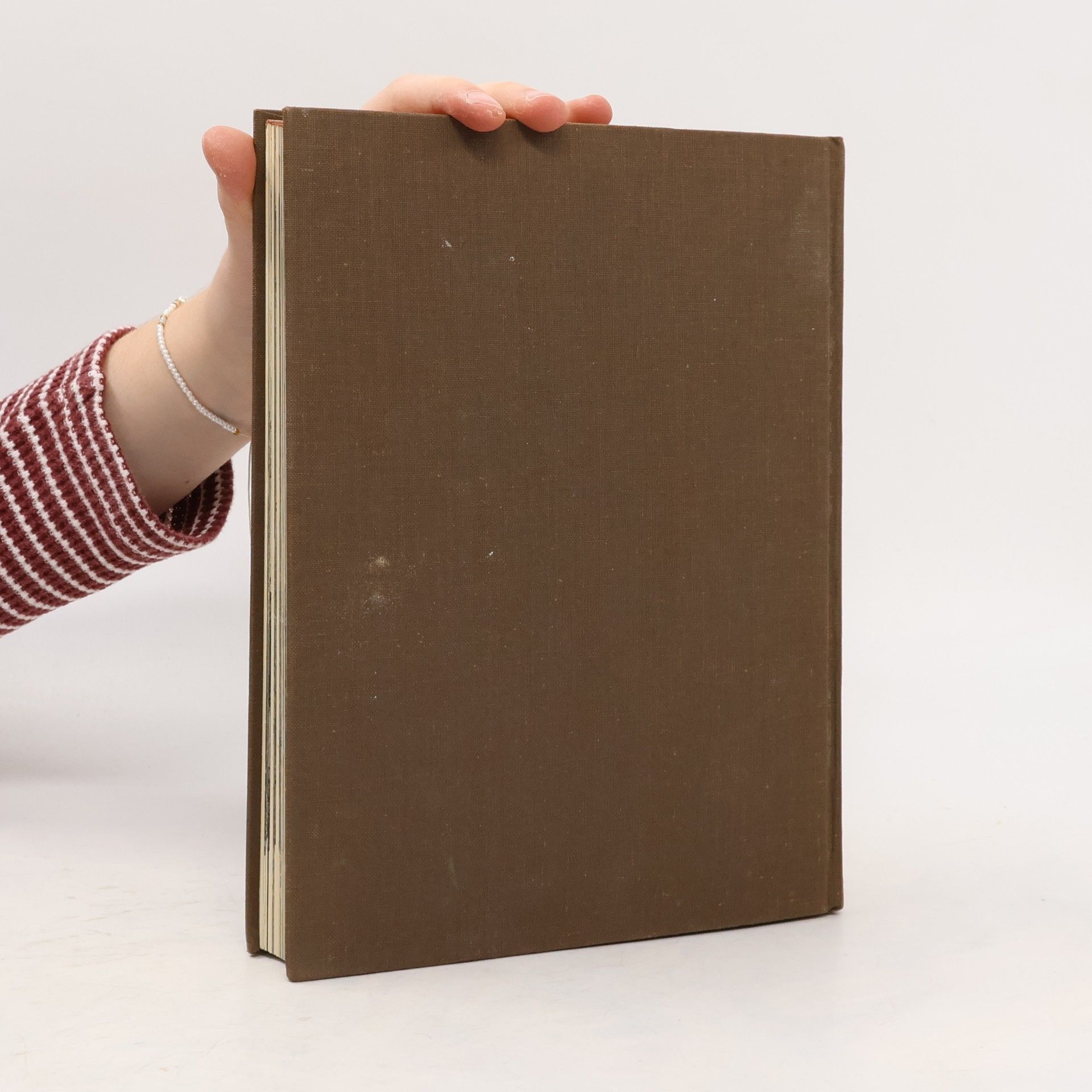 Anton Henze Das große Konzilienbuch
