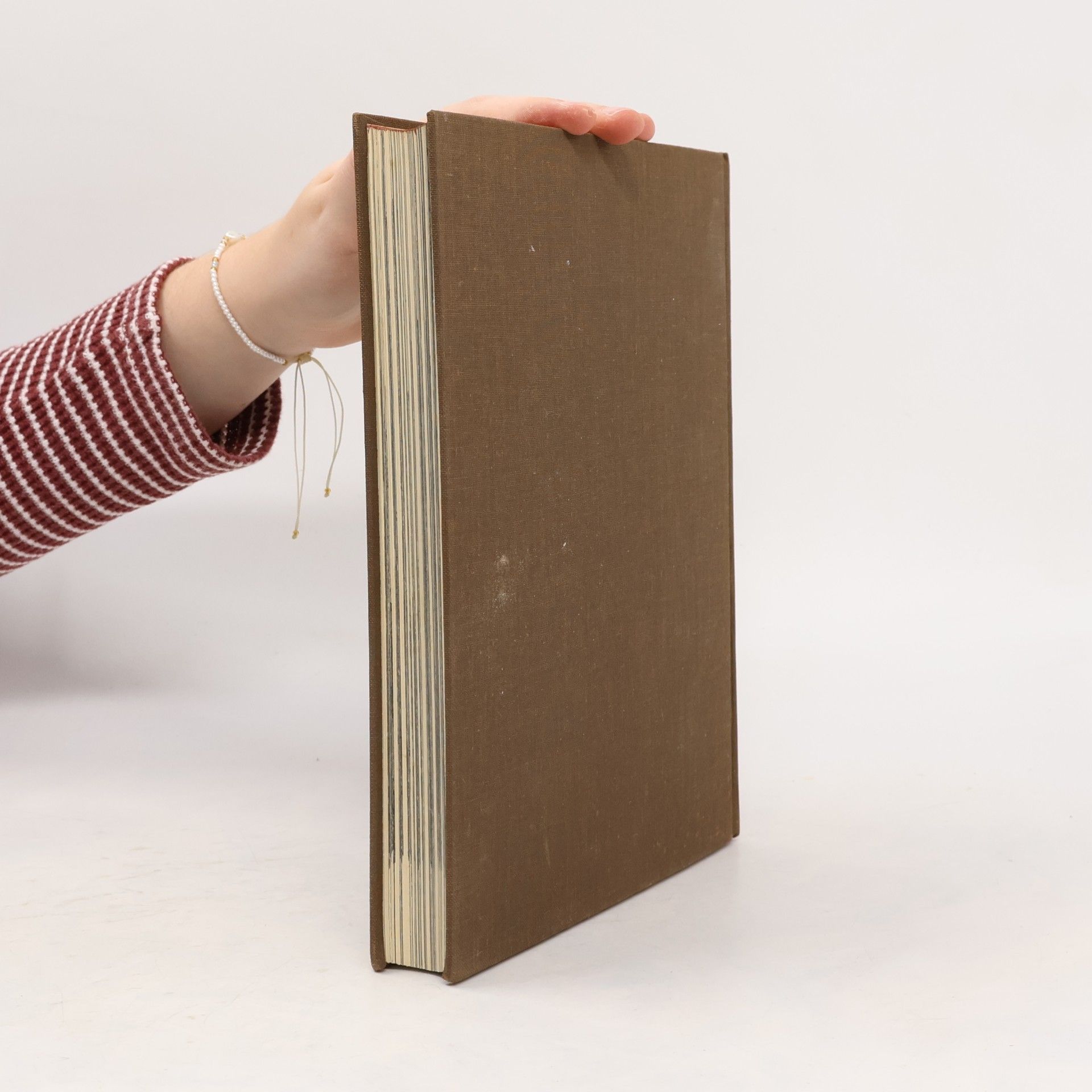 Anton Henze Das große Konzilienbuch