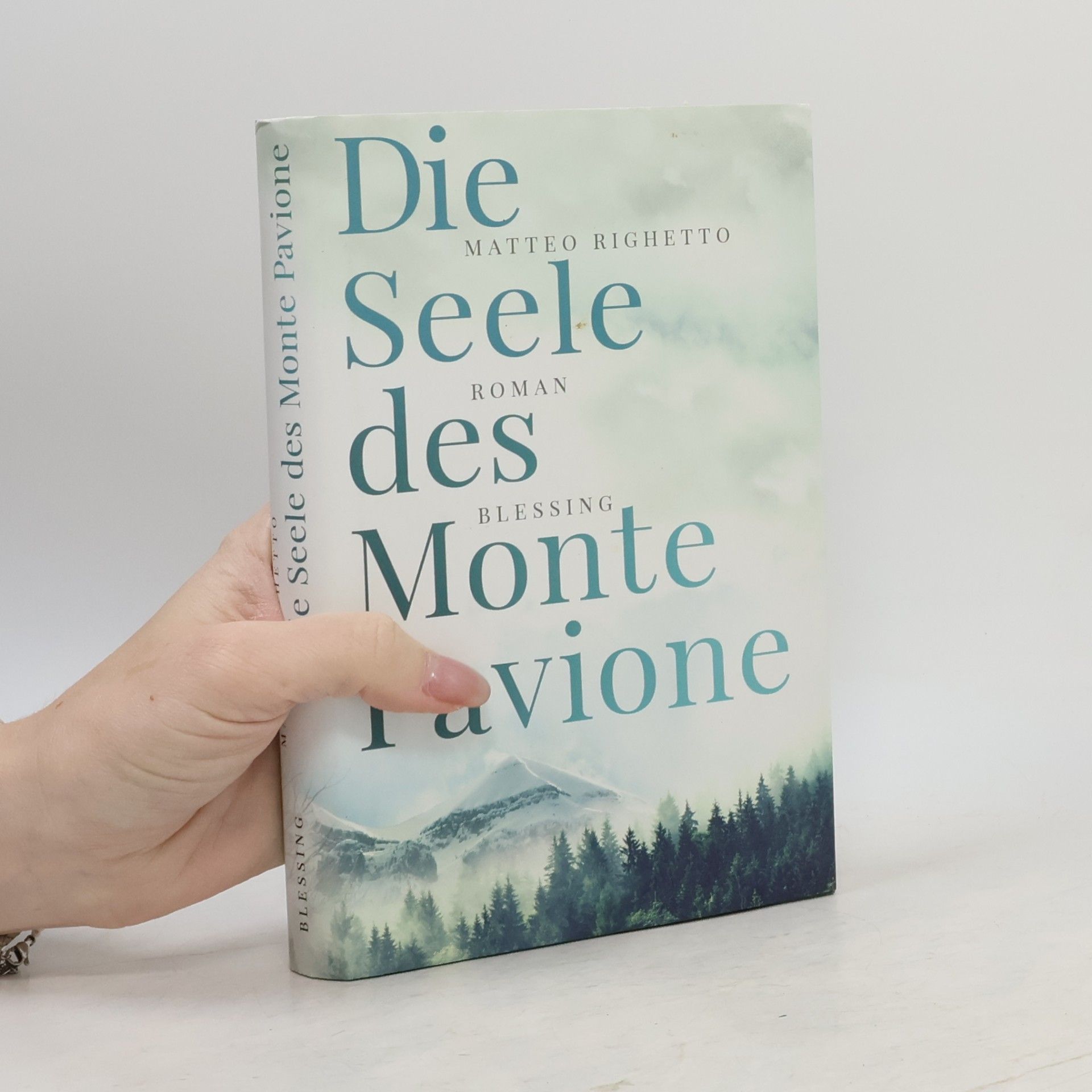 Matteo Righetto Die Seele des Monte Pavione