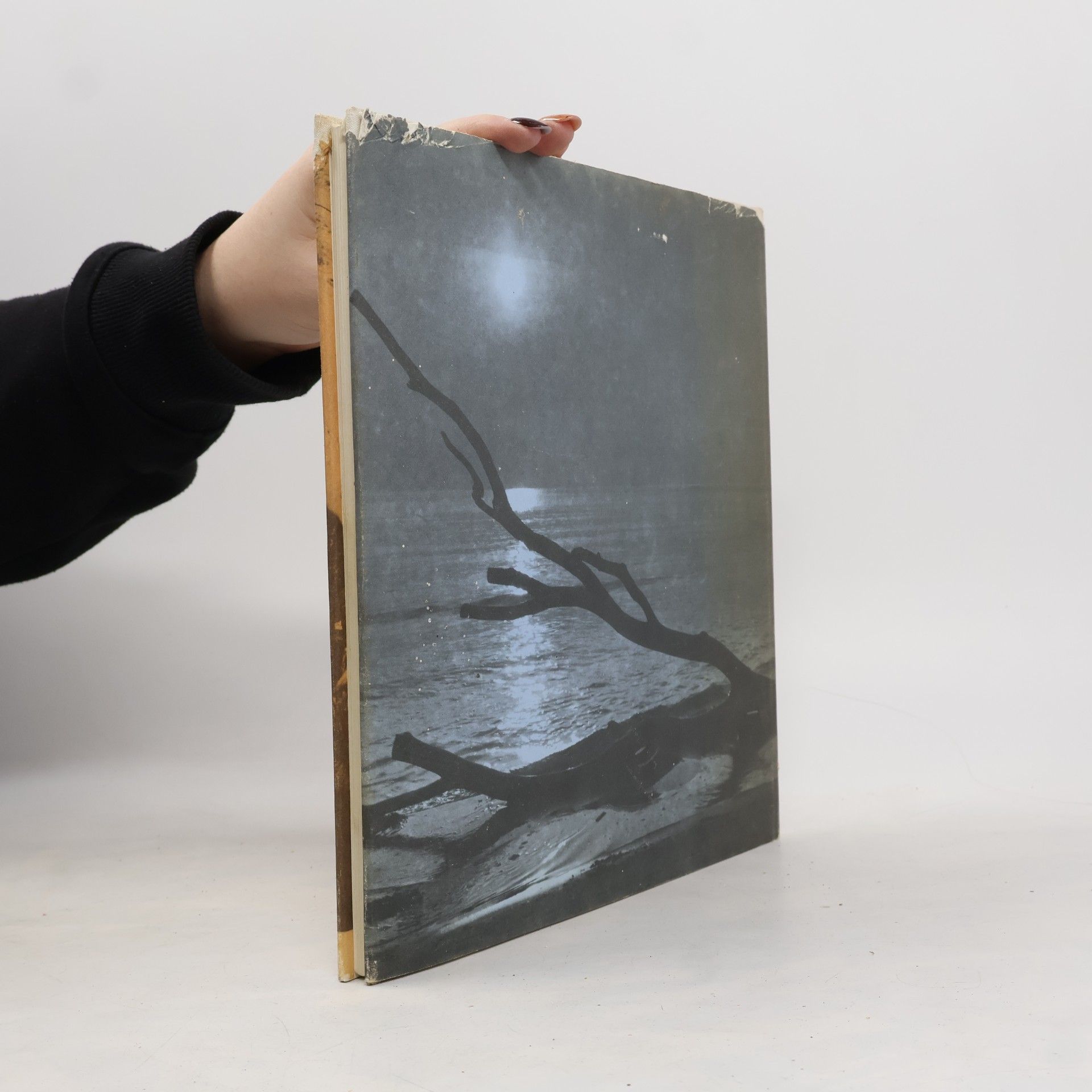 Gerhard Vetter Studien am Strand