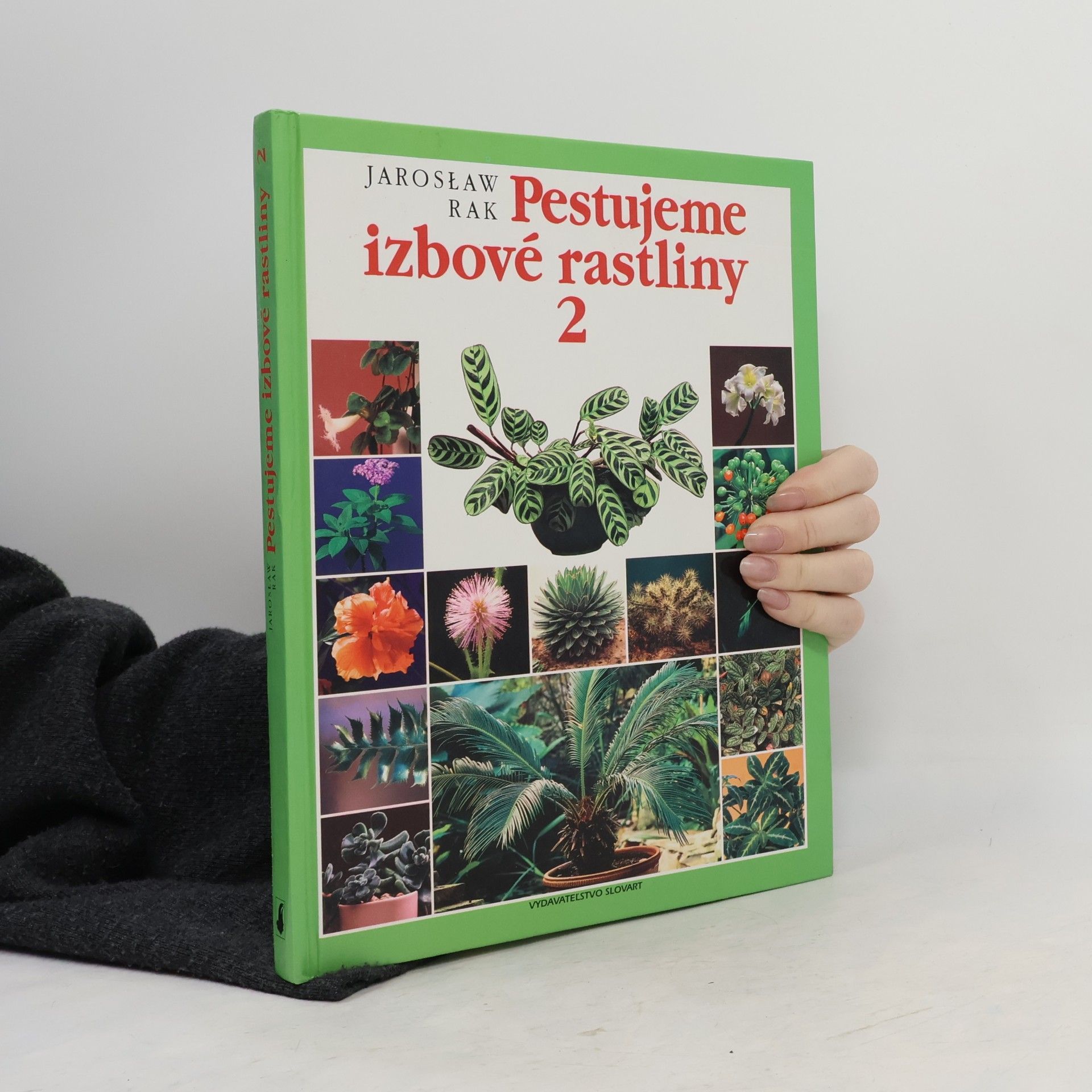 Jarosław Rak Pestujeme izbové rastliny 2