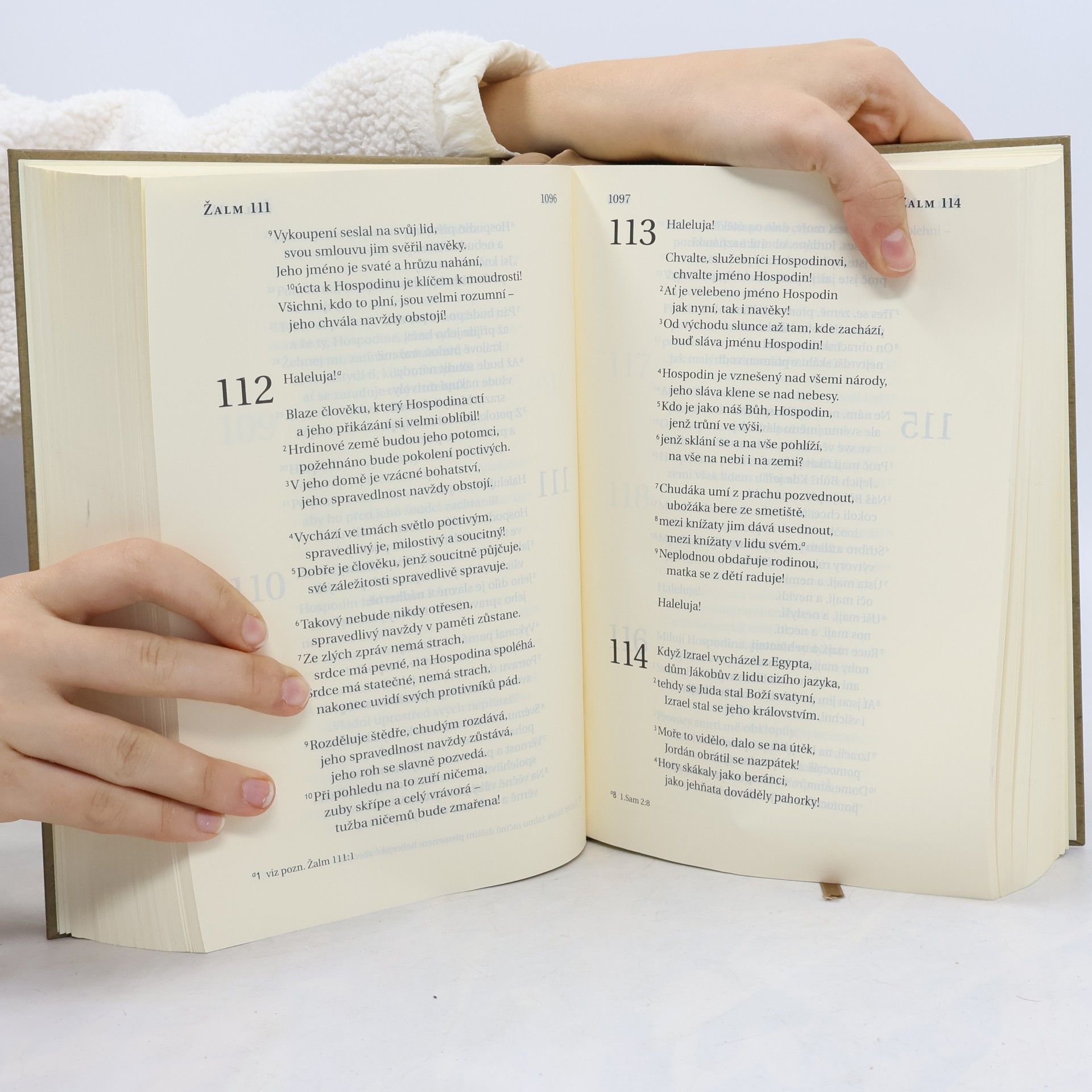 Autorenkollektiv Bible : překlad 21. století