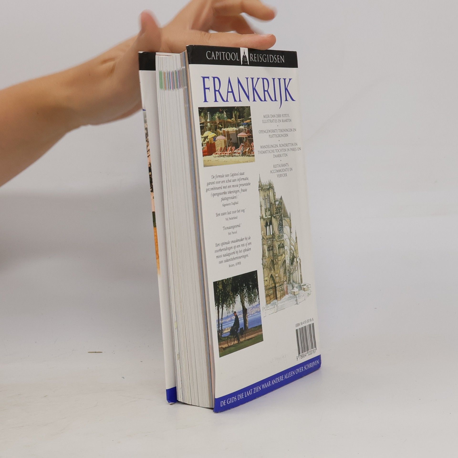 John Ardagh Capitool Reisgidsen: Frankrijk
