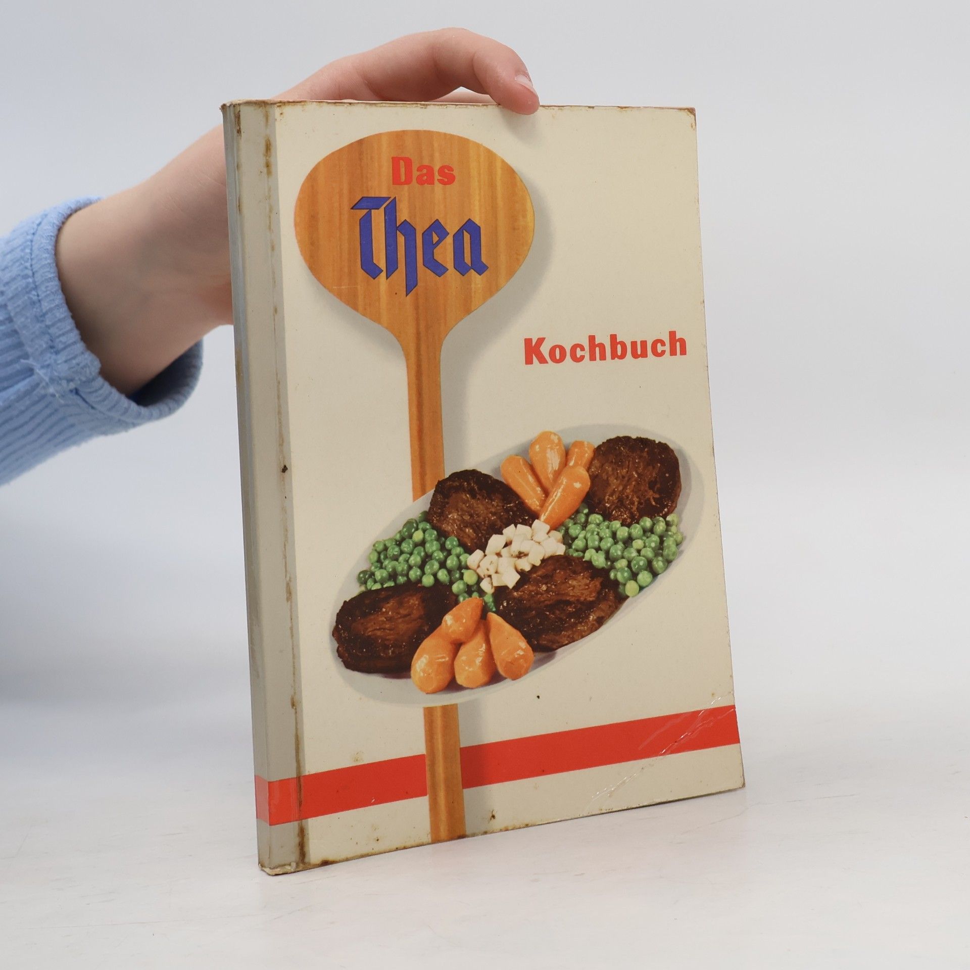 Autorenkollektiv Das Thea Kochbuch