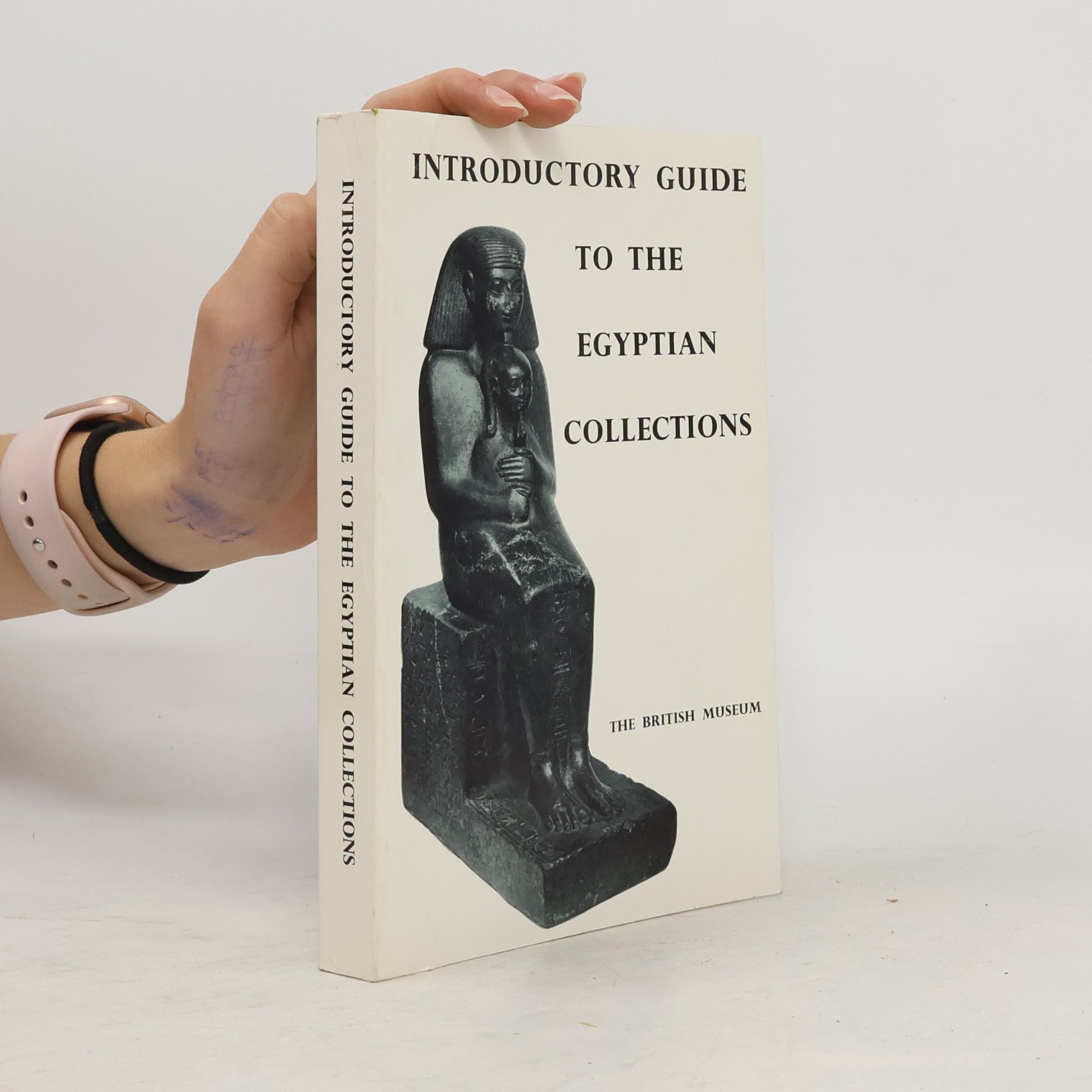 Kolektiv autorů A General Introductory Guide to the Egyptian Collections in the British Museum