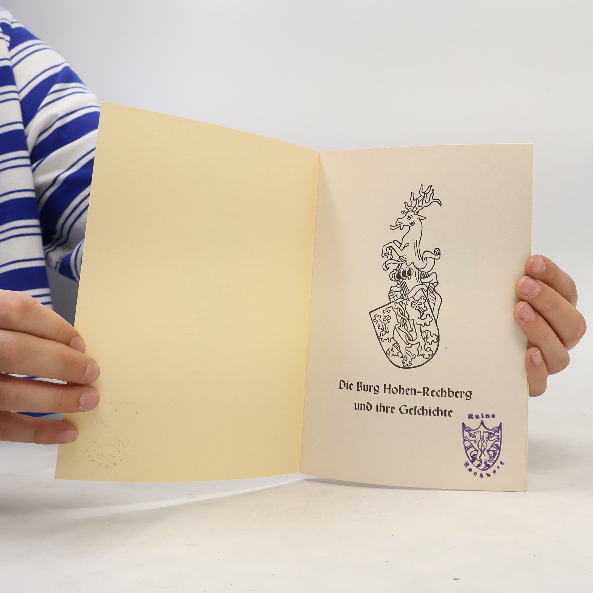 Autores varios Die Burg Hohen-Rechberg