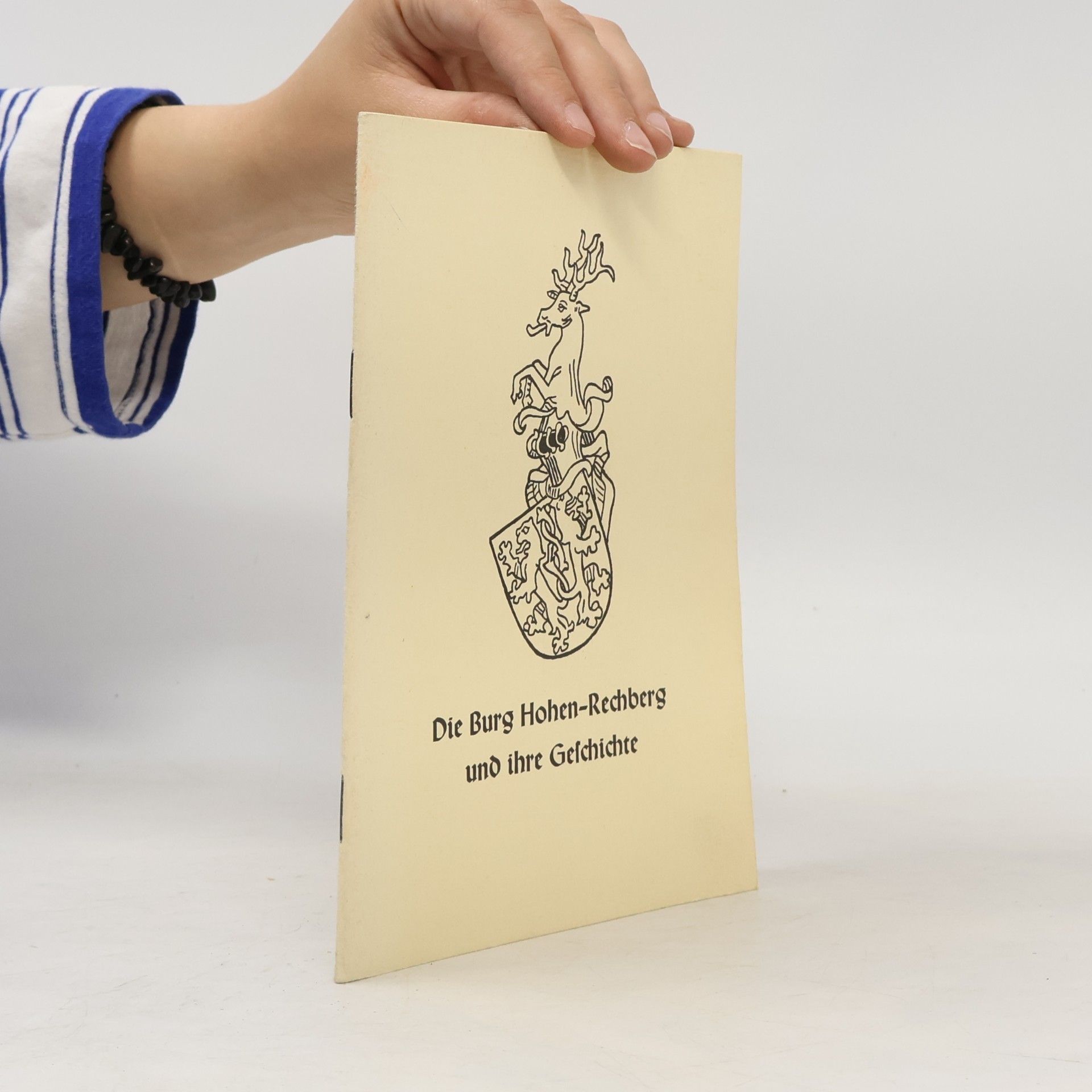 Autores varios Die Burg Hohen-Rechberg