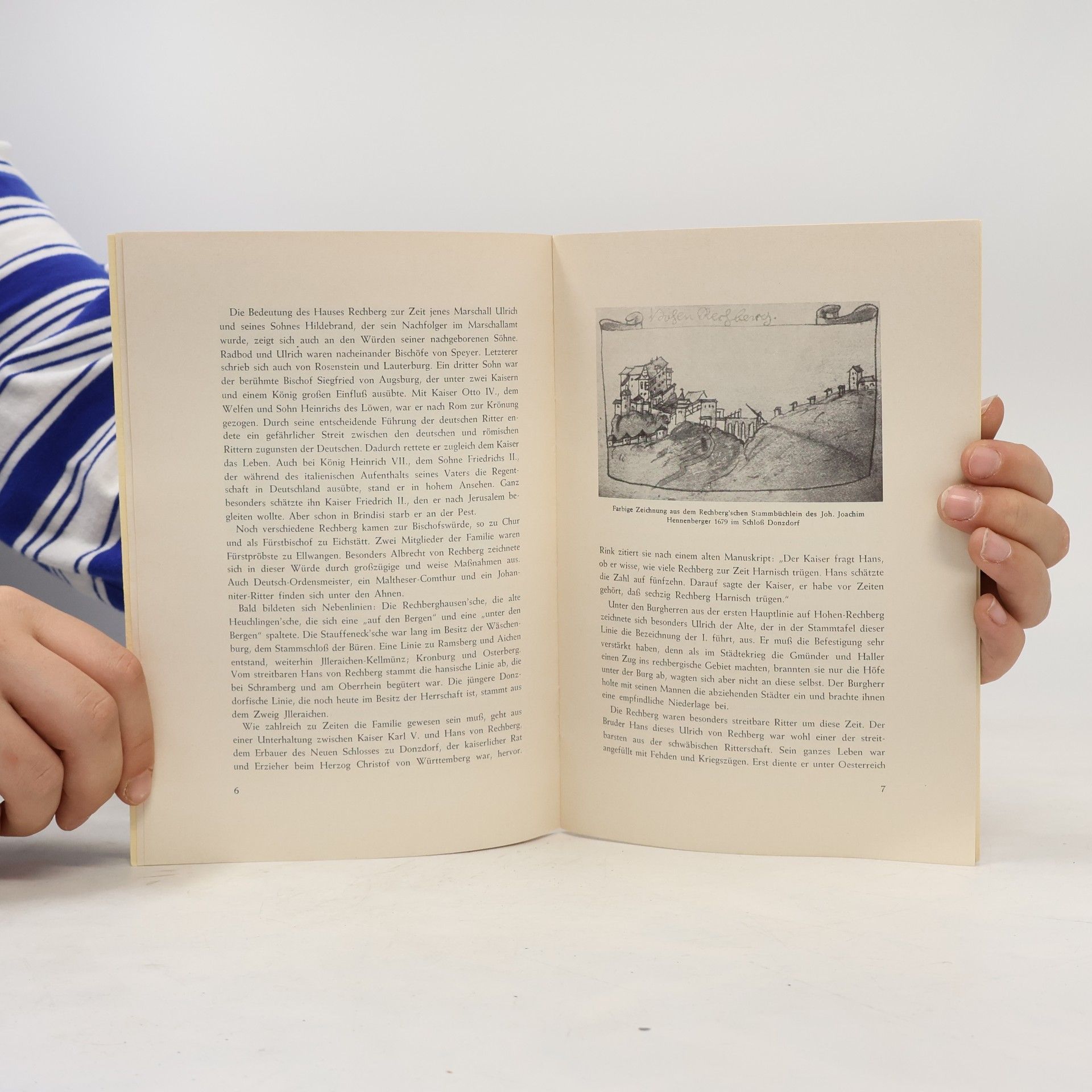 Autores varios Die Burg Hohen-Rechberg