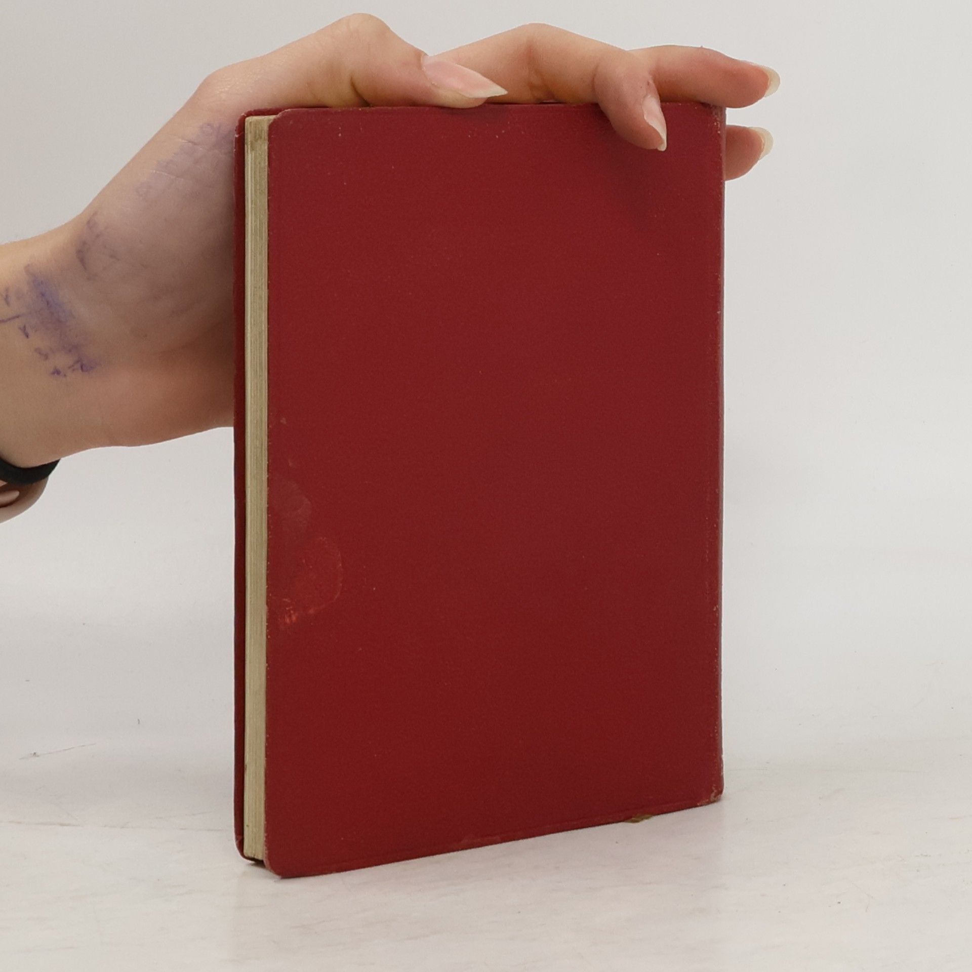 Various authors Moderner Cicerone - Rom II