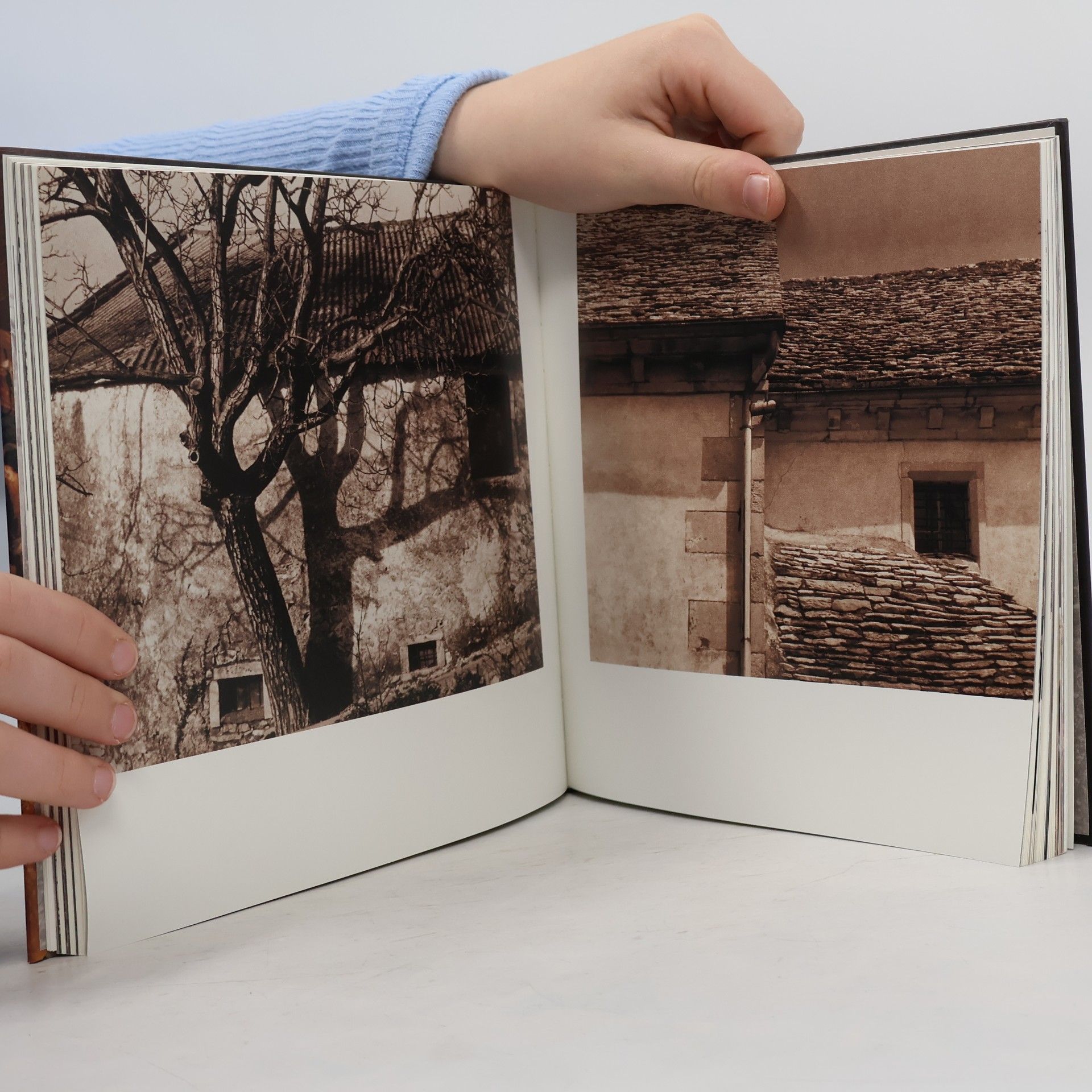 Christoph Wagner Der Karst. Kras. Il Carso