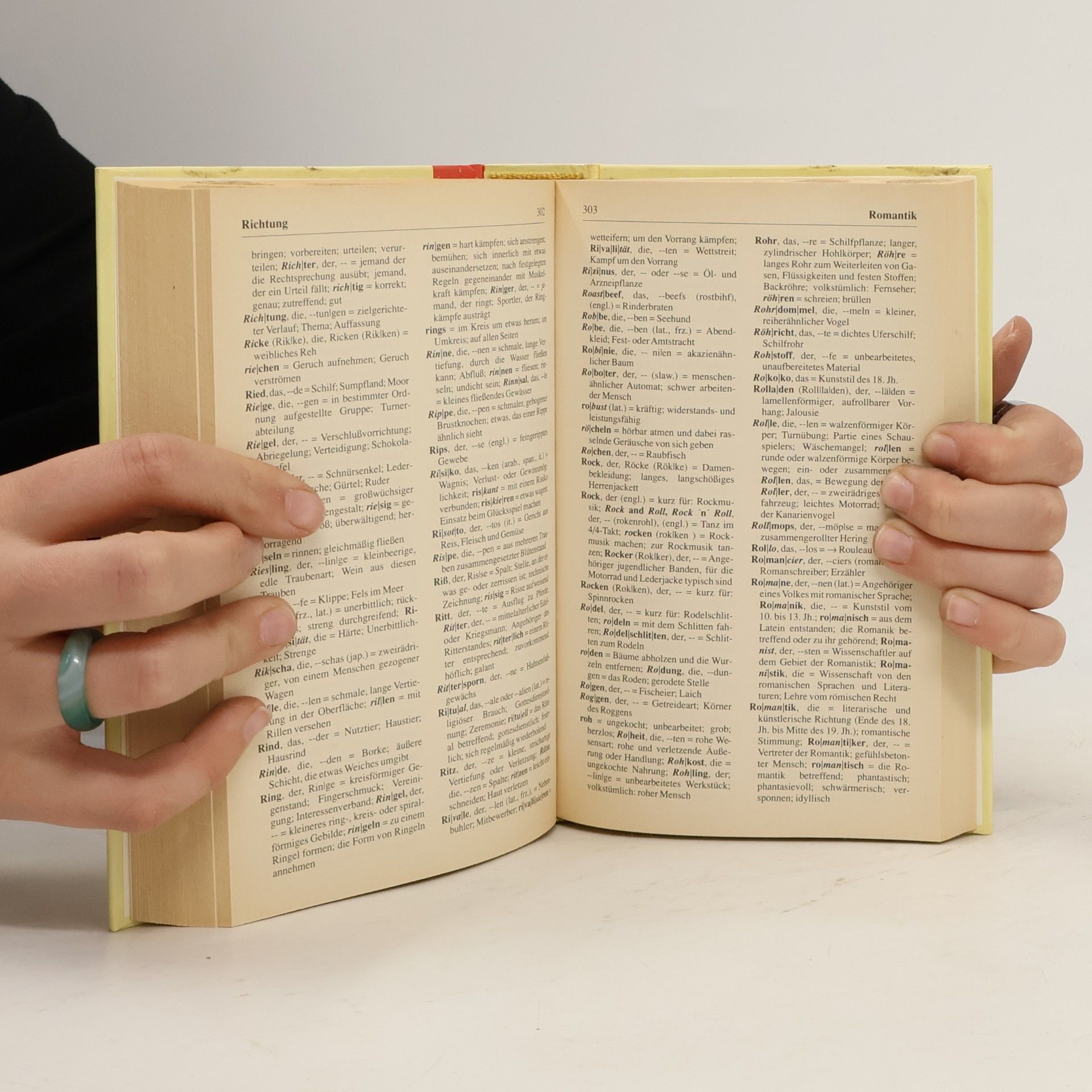 Ines Schill Deutsches Wörterbuch
