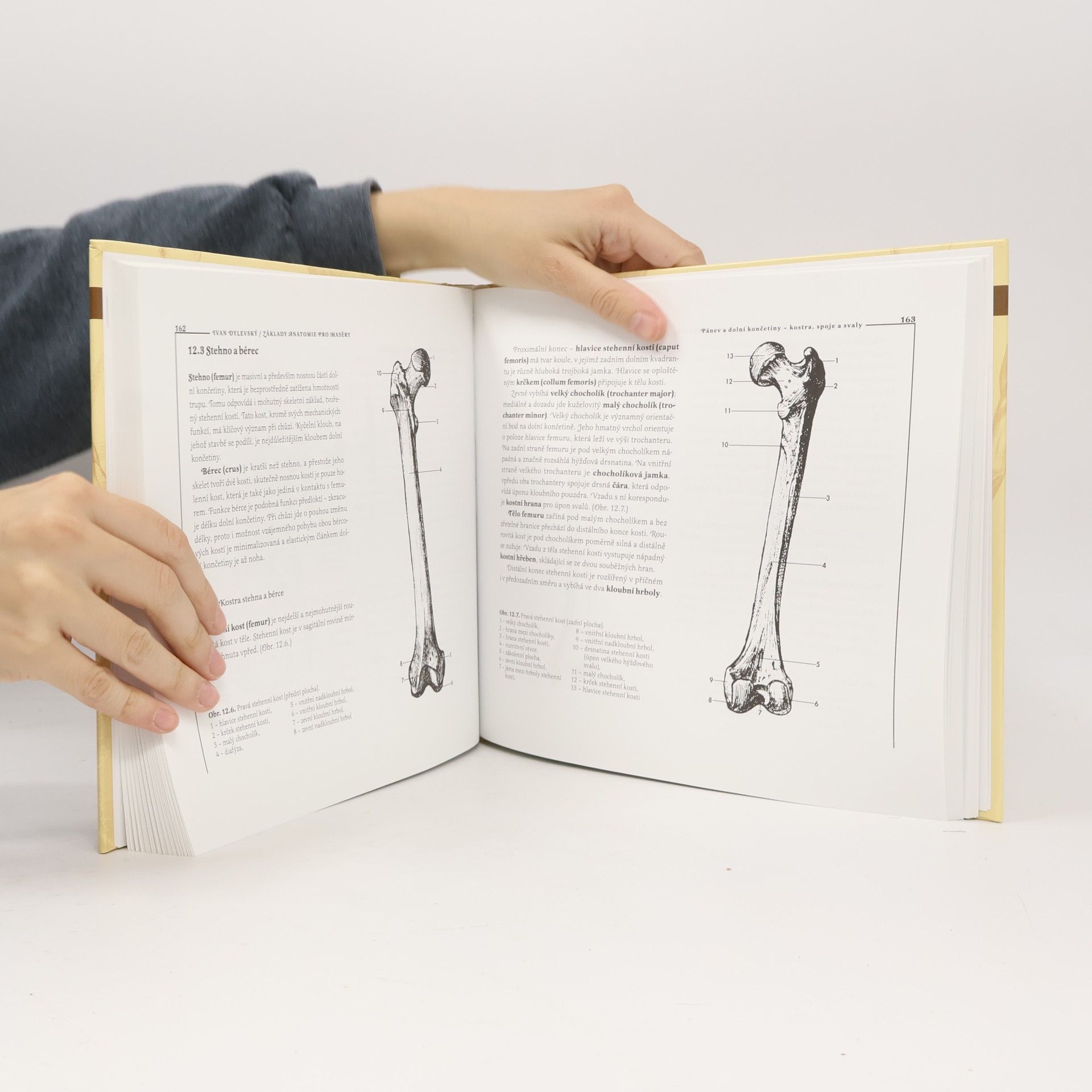 Ivan Dylevský Základy anatomie