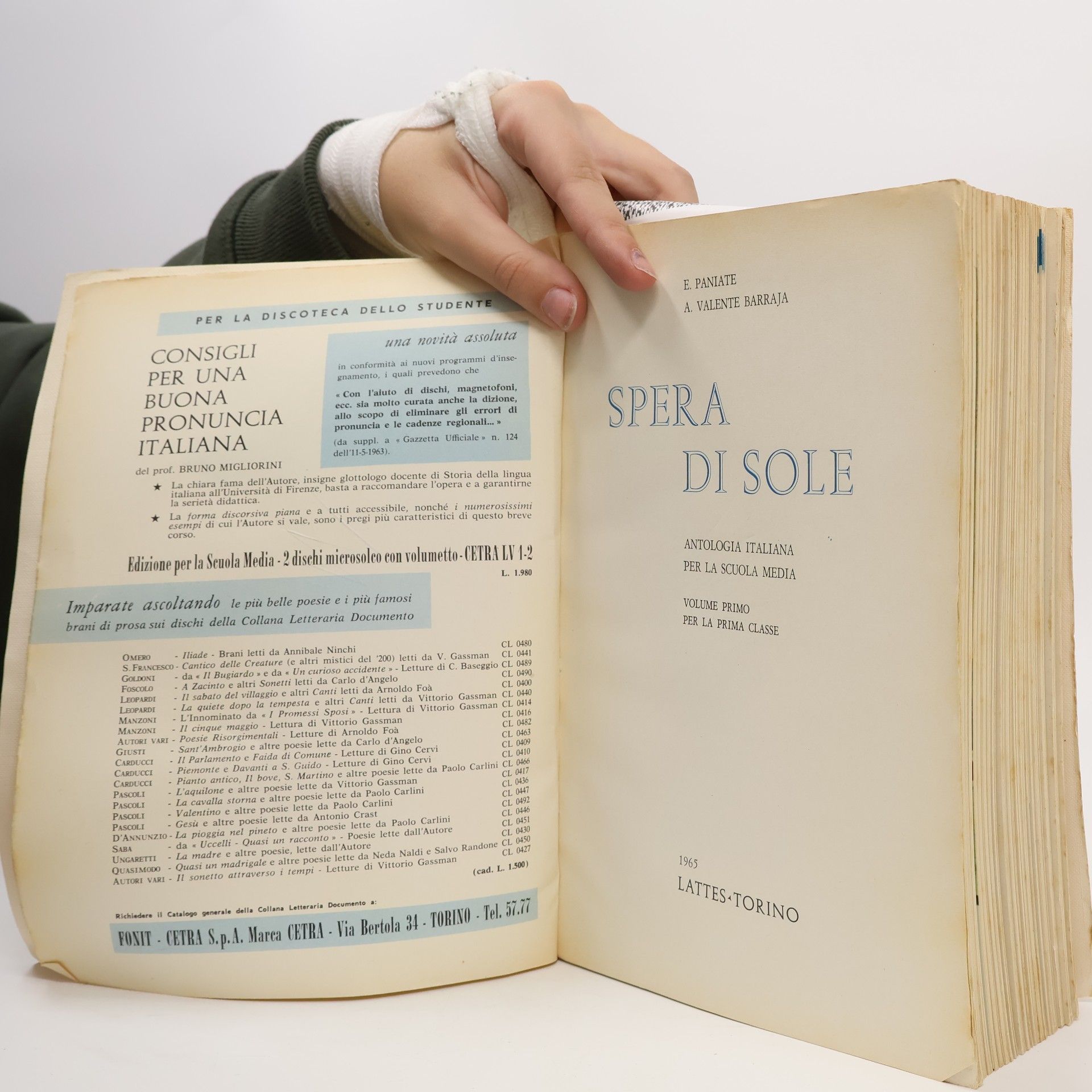 E. Paniate Spera di sole 1