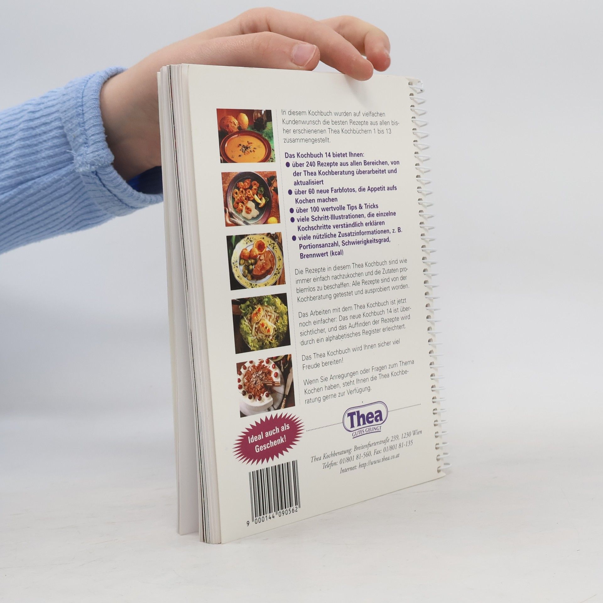 Various authors Die Besten Thea-Rezepte