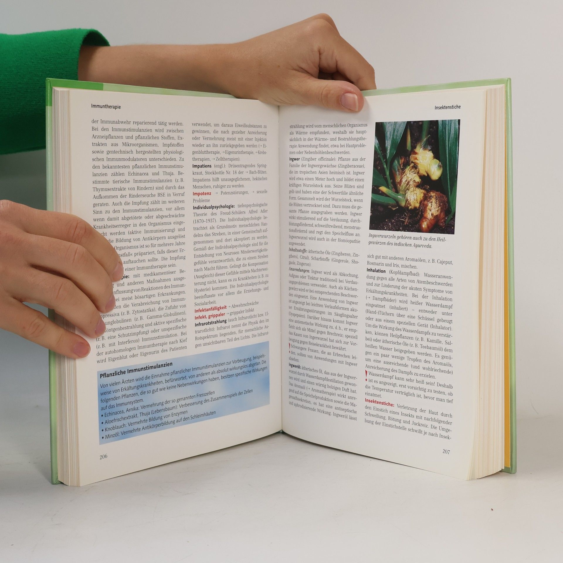 Annette Eiden-Schuh Praxisbuch der Naturheilkunde