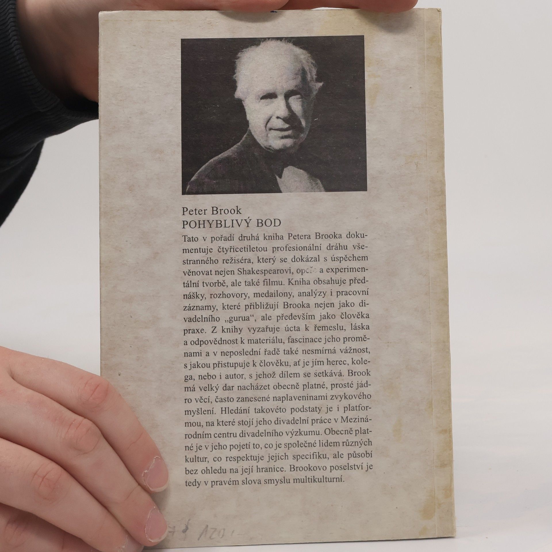Peter Brook Pohyblivý bod