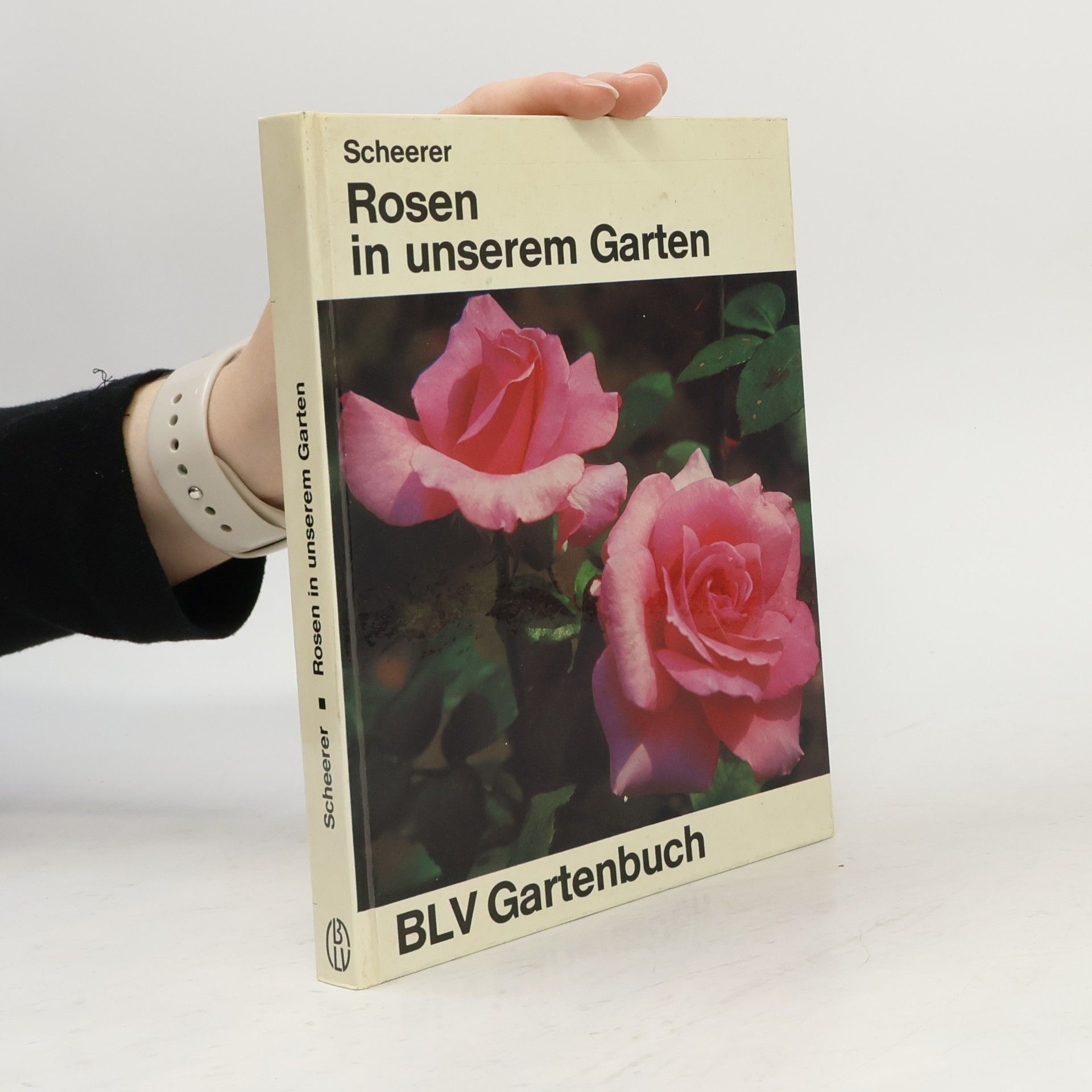 Rosen in unserem Garten