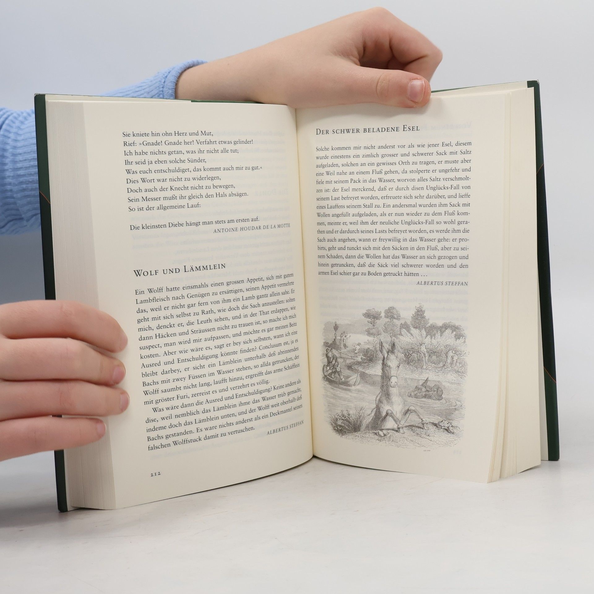 Hans-Jörg Uther Das große Buch der Fabeln