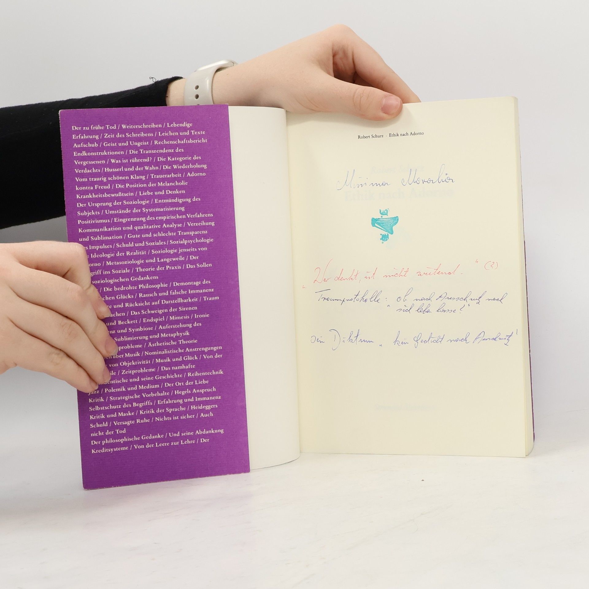 Robert Schurz Ethik nach Adorno