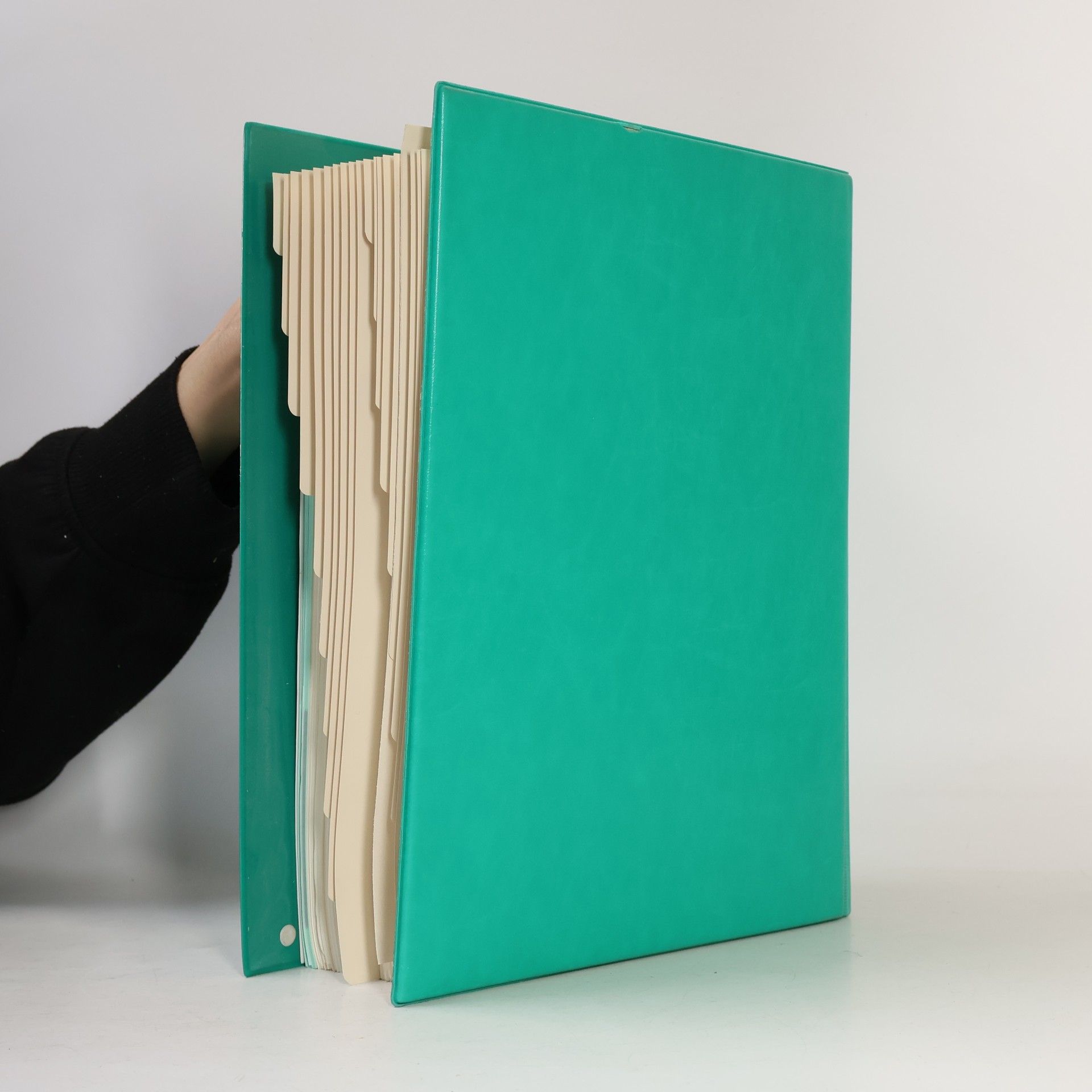 Therapie-Handbuch