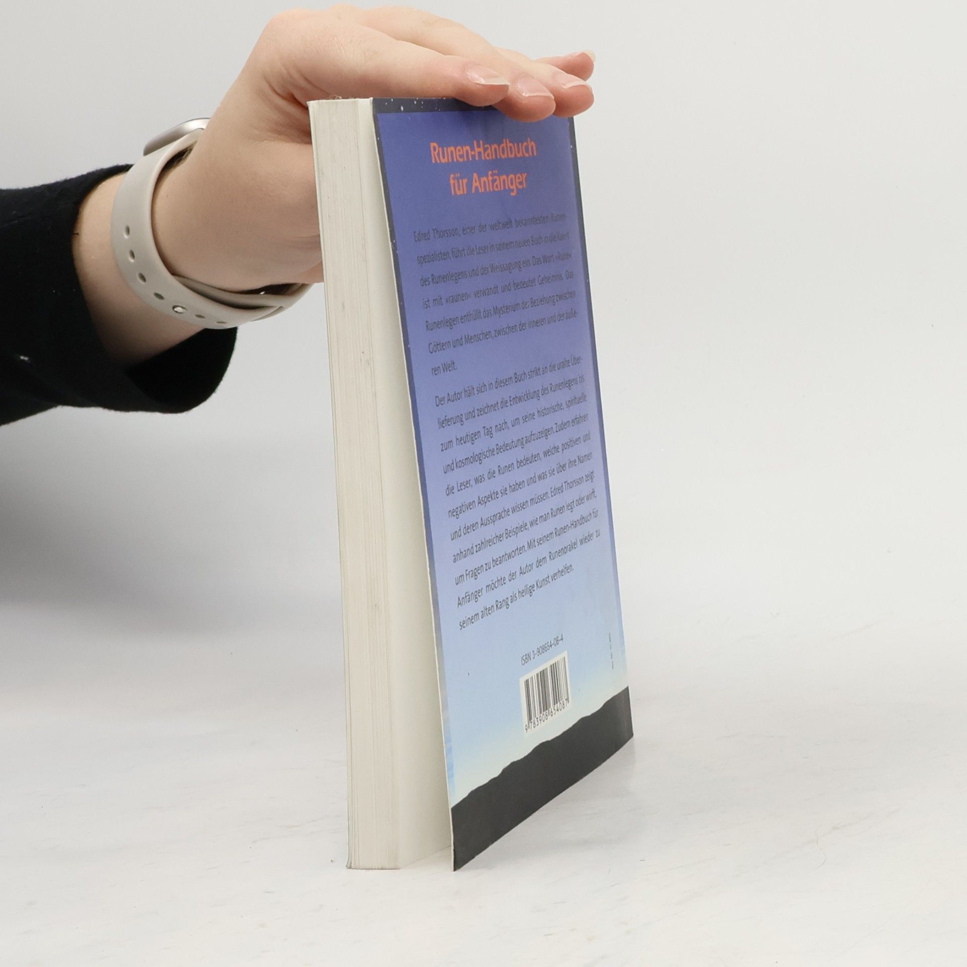 Stephen Edred Flowers Runen-Handbuch für Anfänger