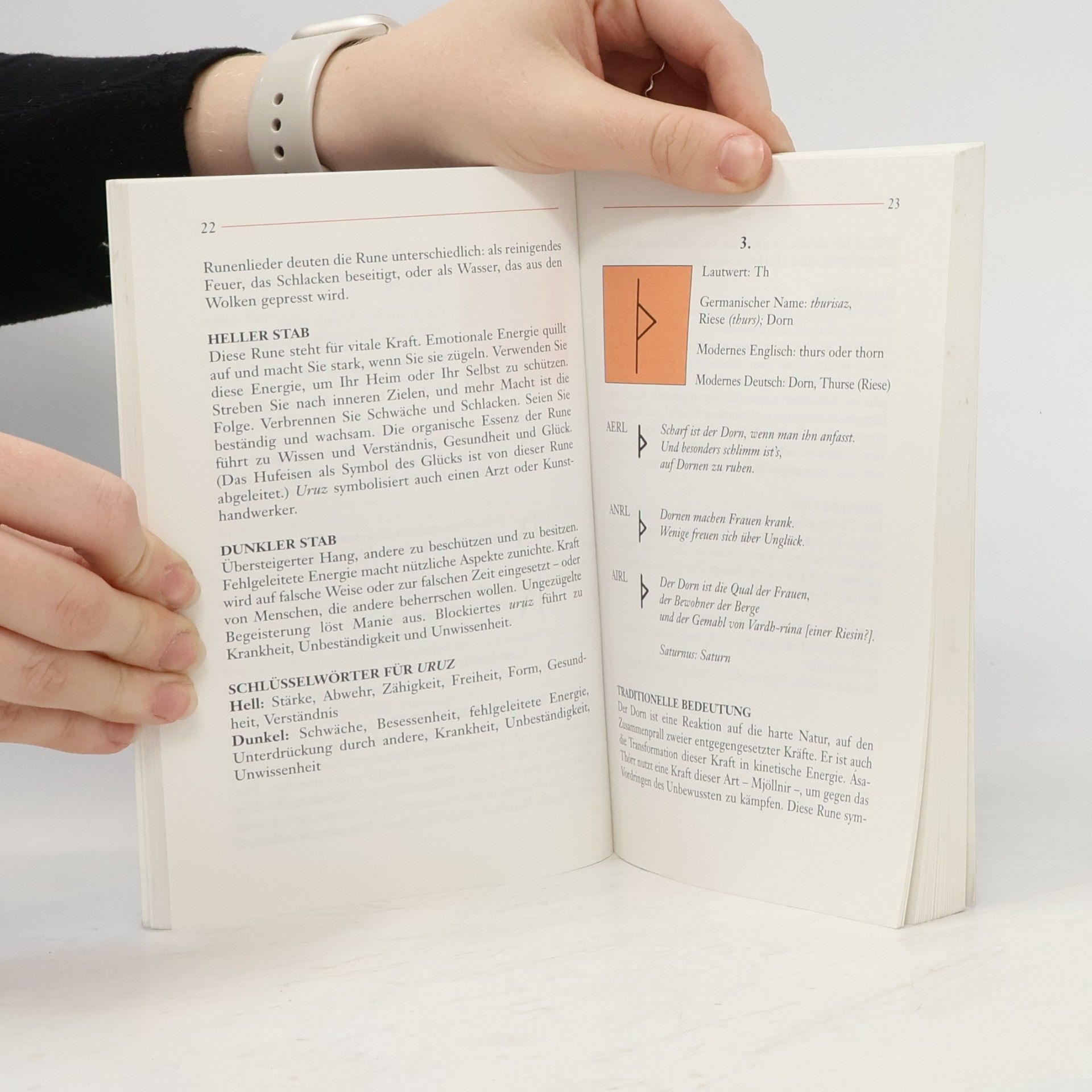 Stephen Edred Flowers Runen-Handbuch für Anfänger