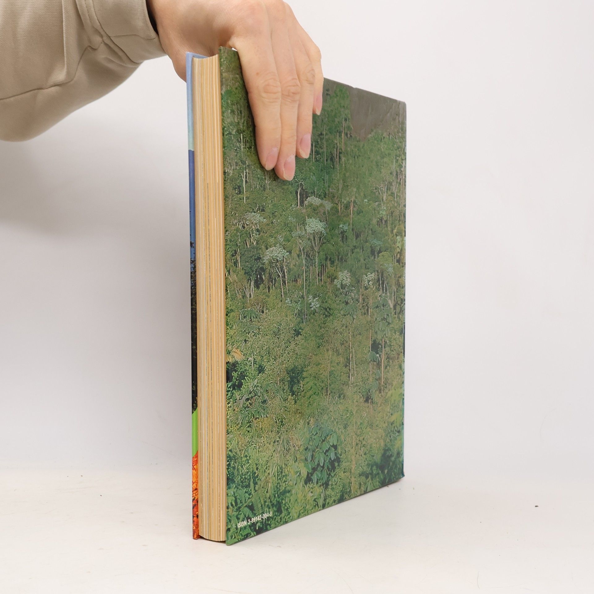 Walter Kümmerly Der Wald