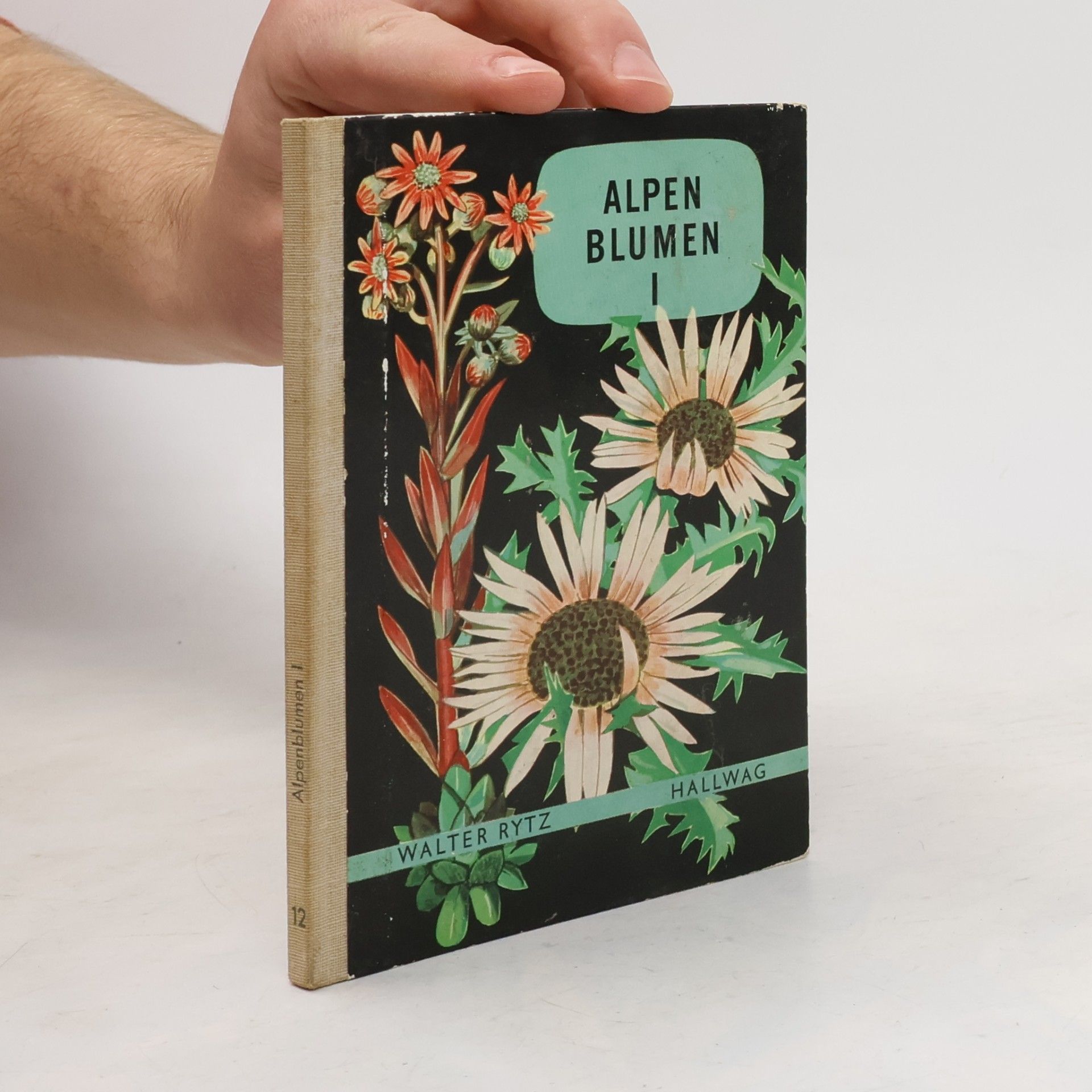 Alpen Blumen I