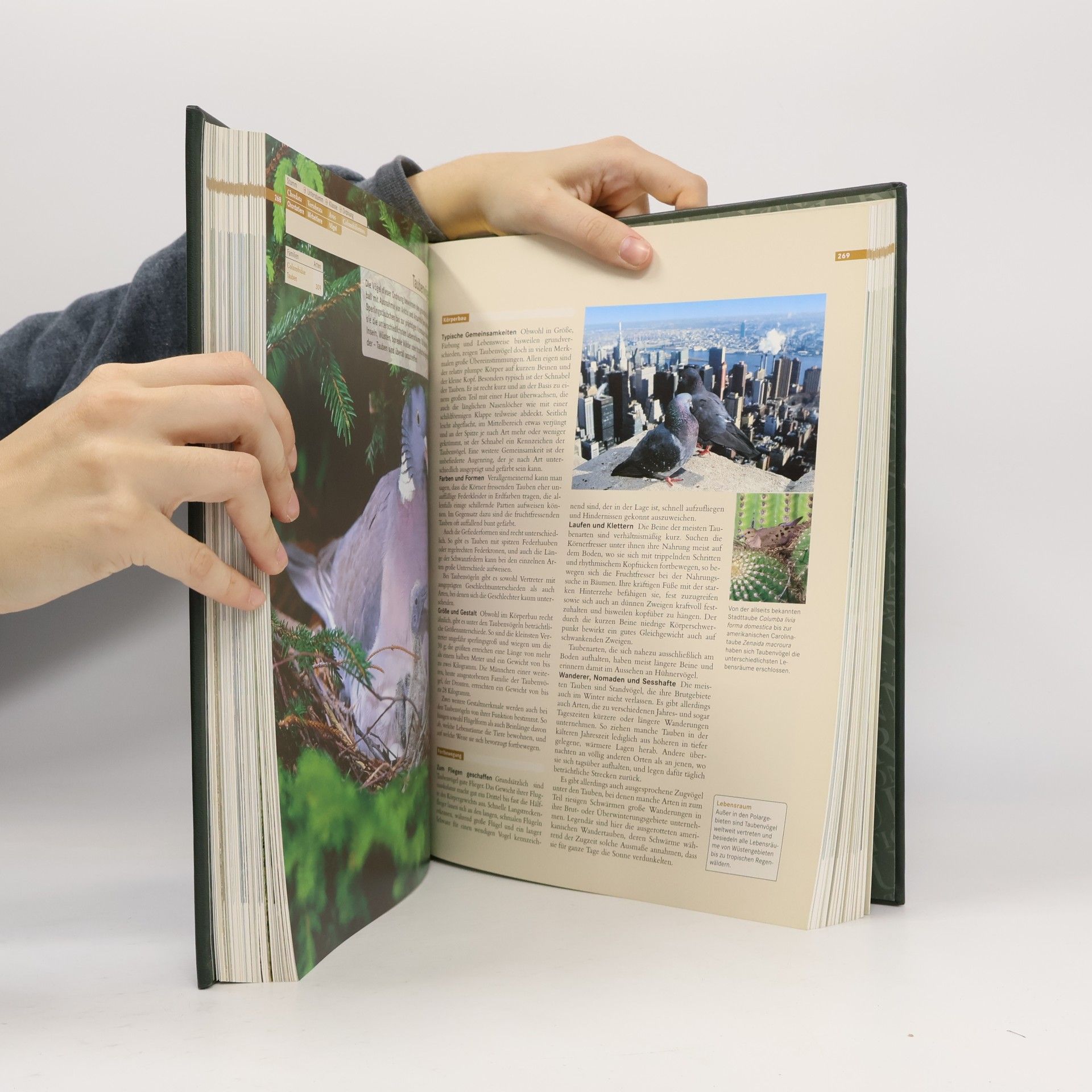Atelier Frank Wohlgemuth Faszination Natur