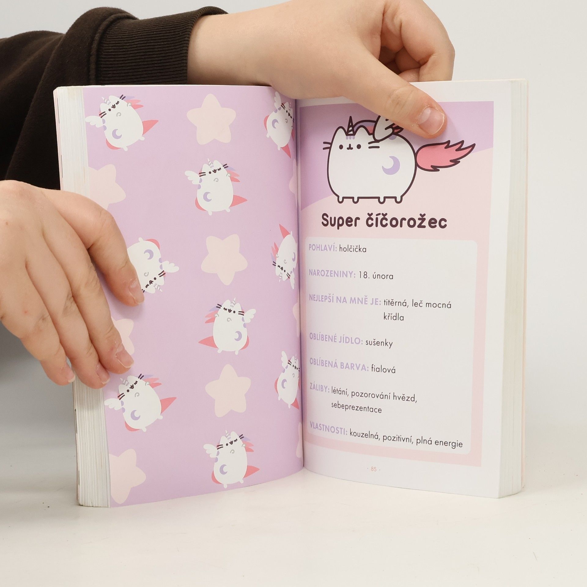 Claire Belton Bambilion životů košišty Pusheen