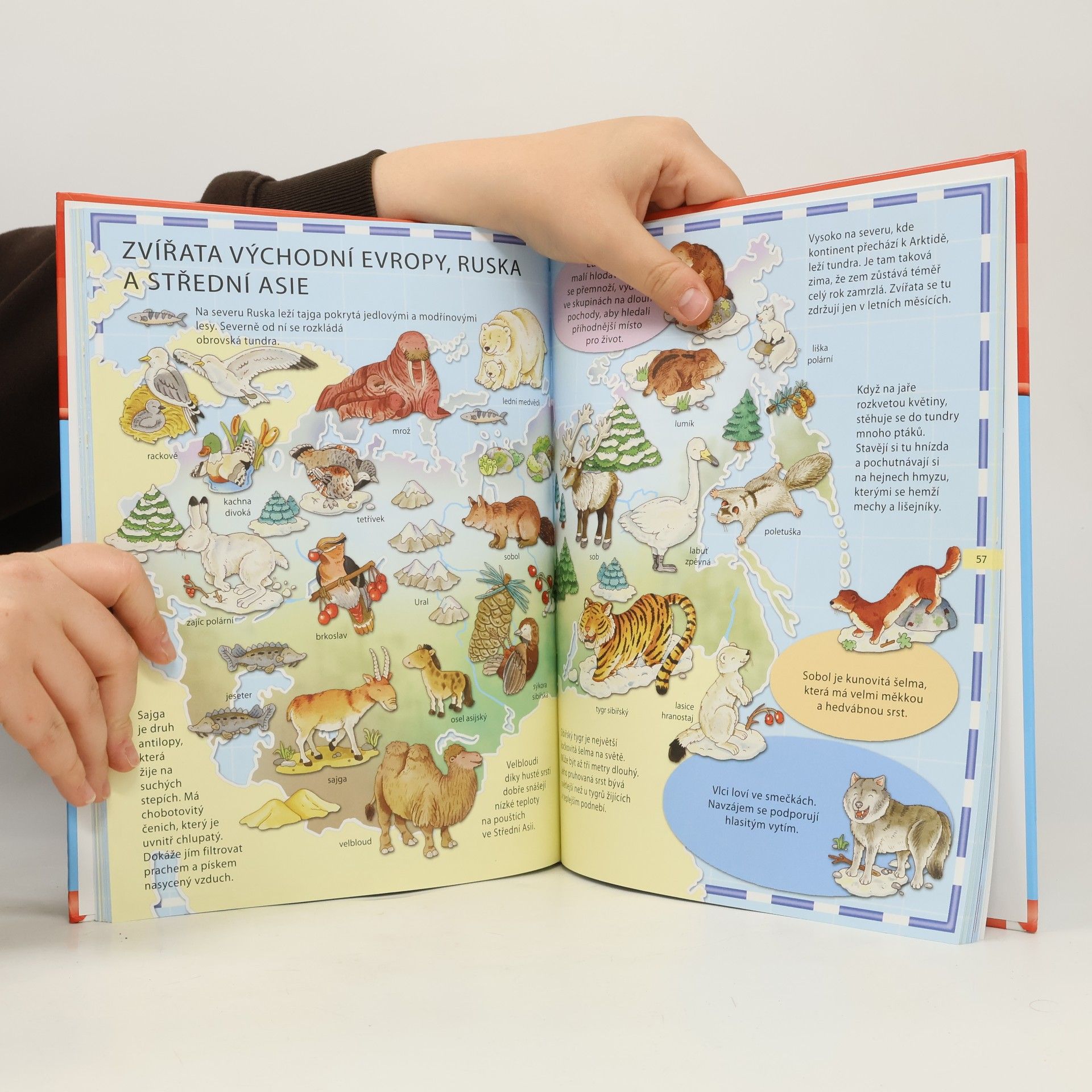 Autores varios Můj první obrázkový atlas