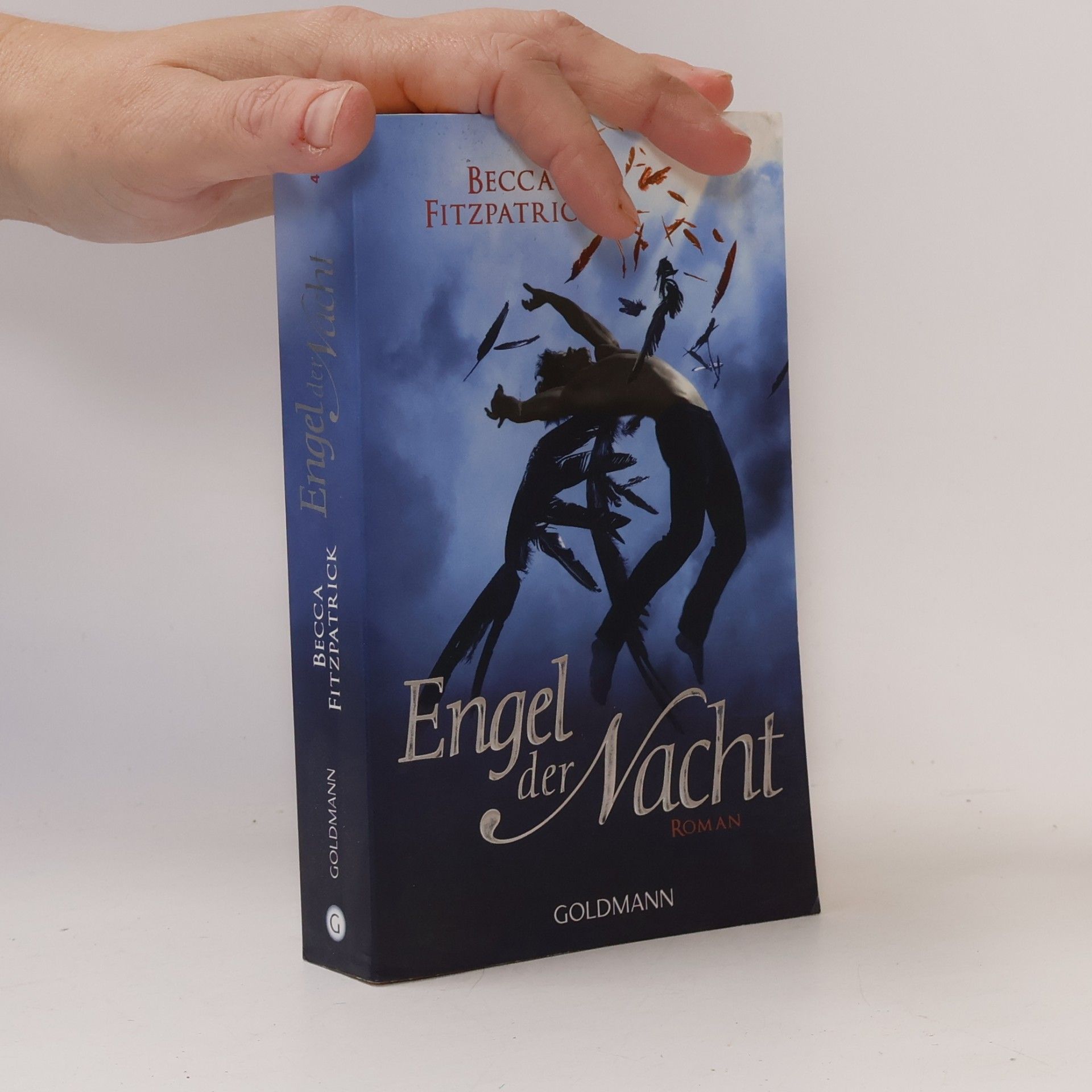Becca Fitzpatrick Engel der Nacht
