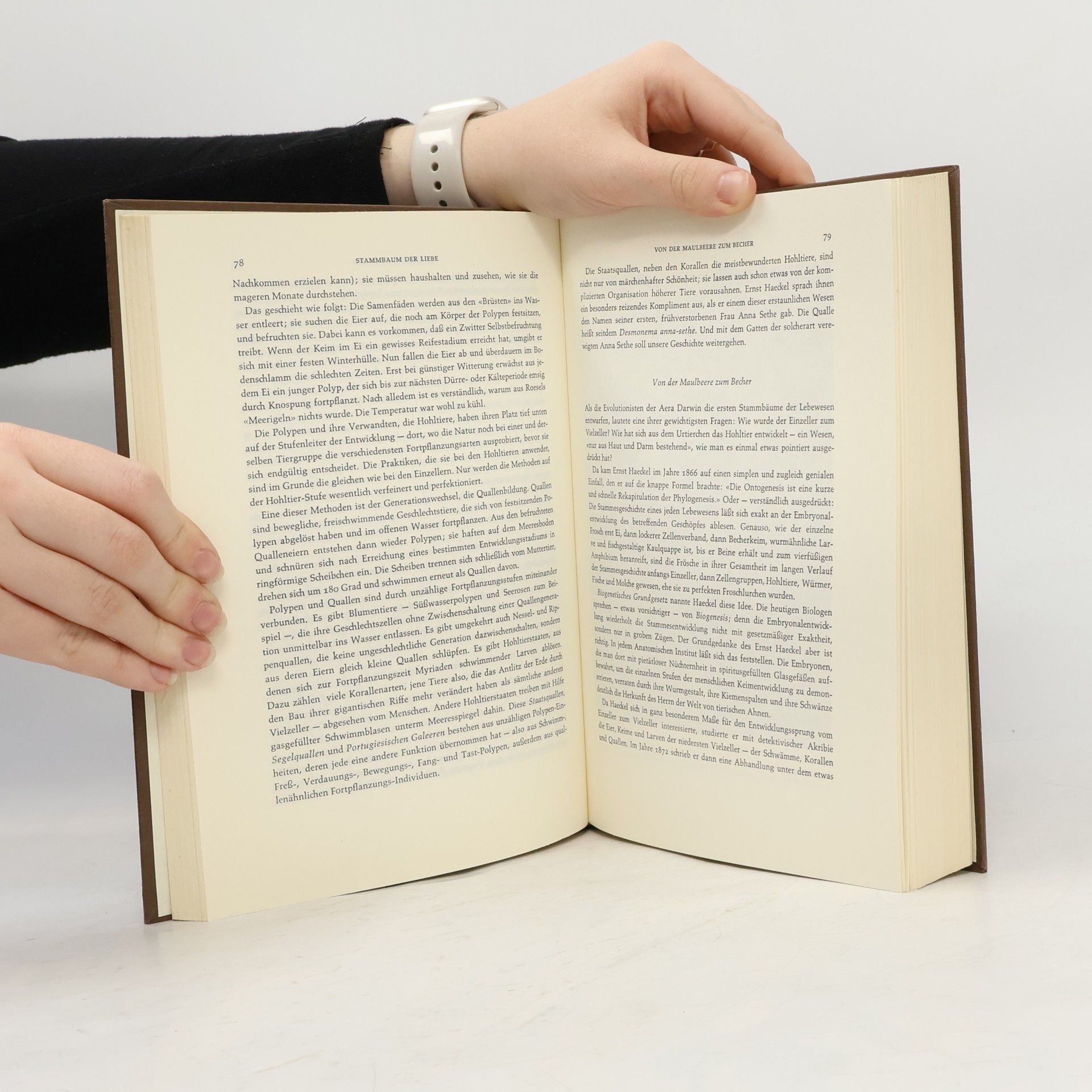 Herbert Wendt Das Liebesleben in der Tierwelt