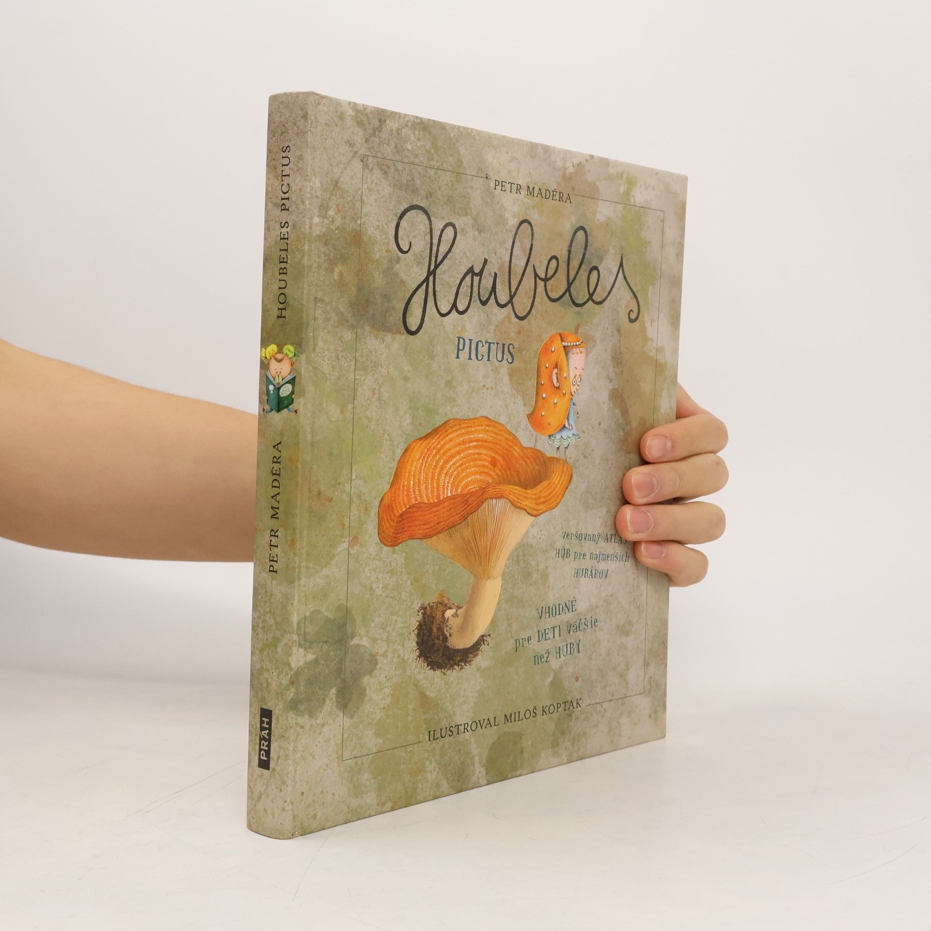 Houbeles pictus