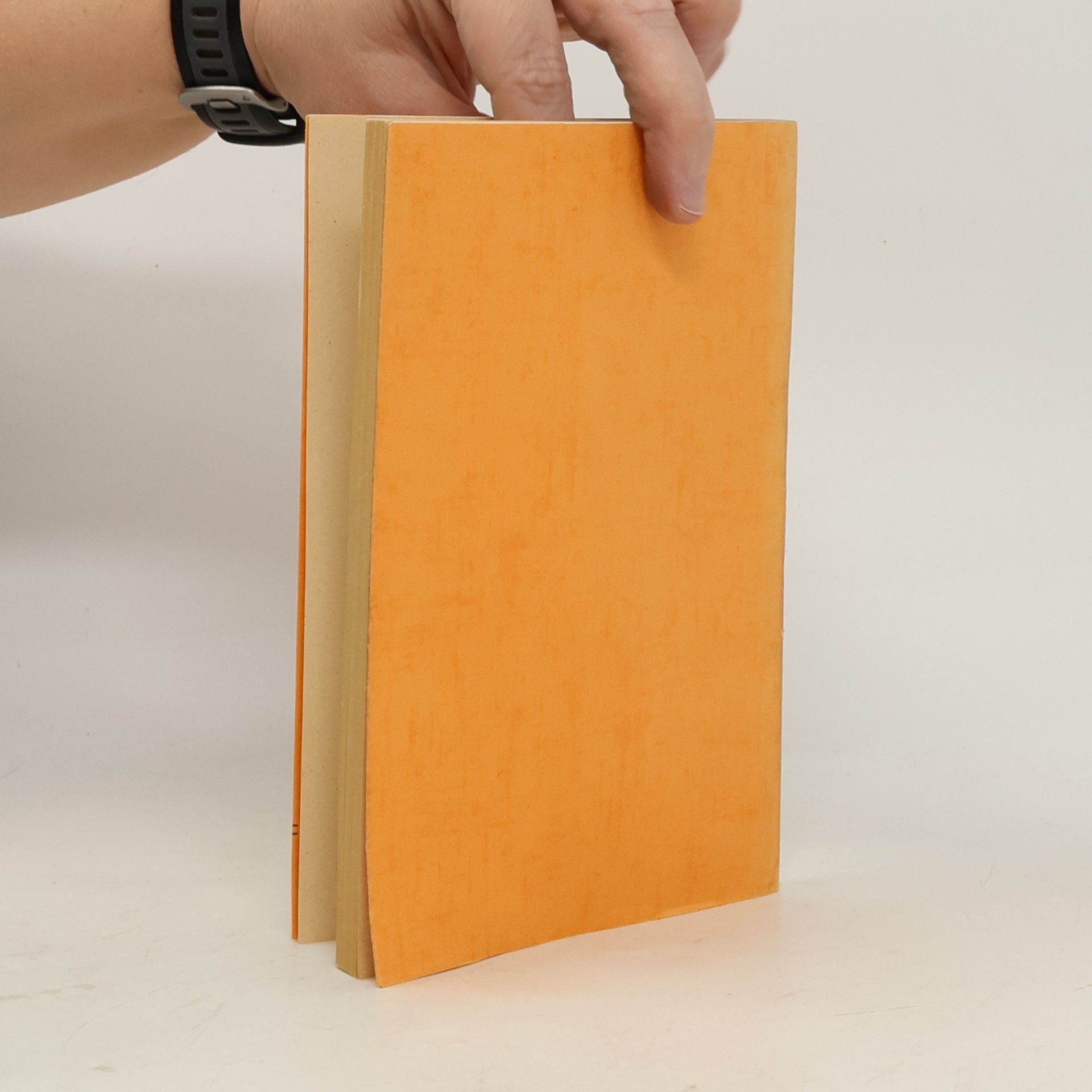 Fritz Braun Das dreistöckige Weltall der Bibel