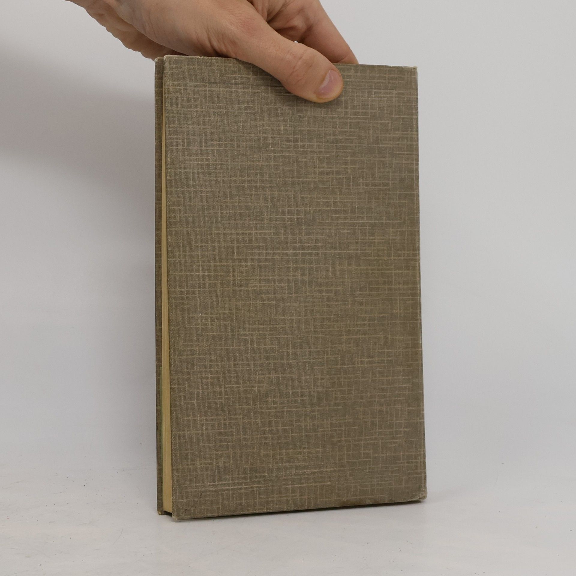 Leopold Langer Grundriß der deutschen Literaturgeschichte