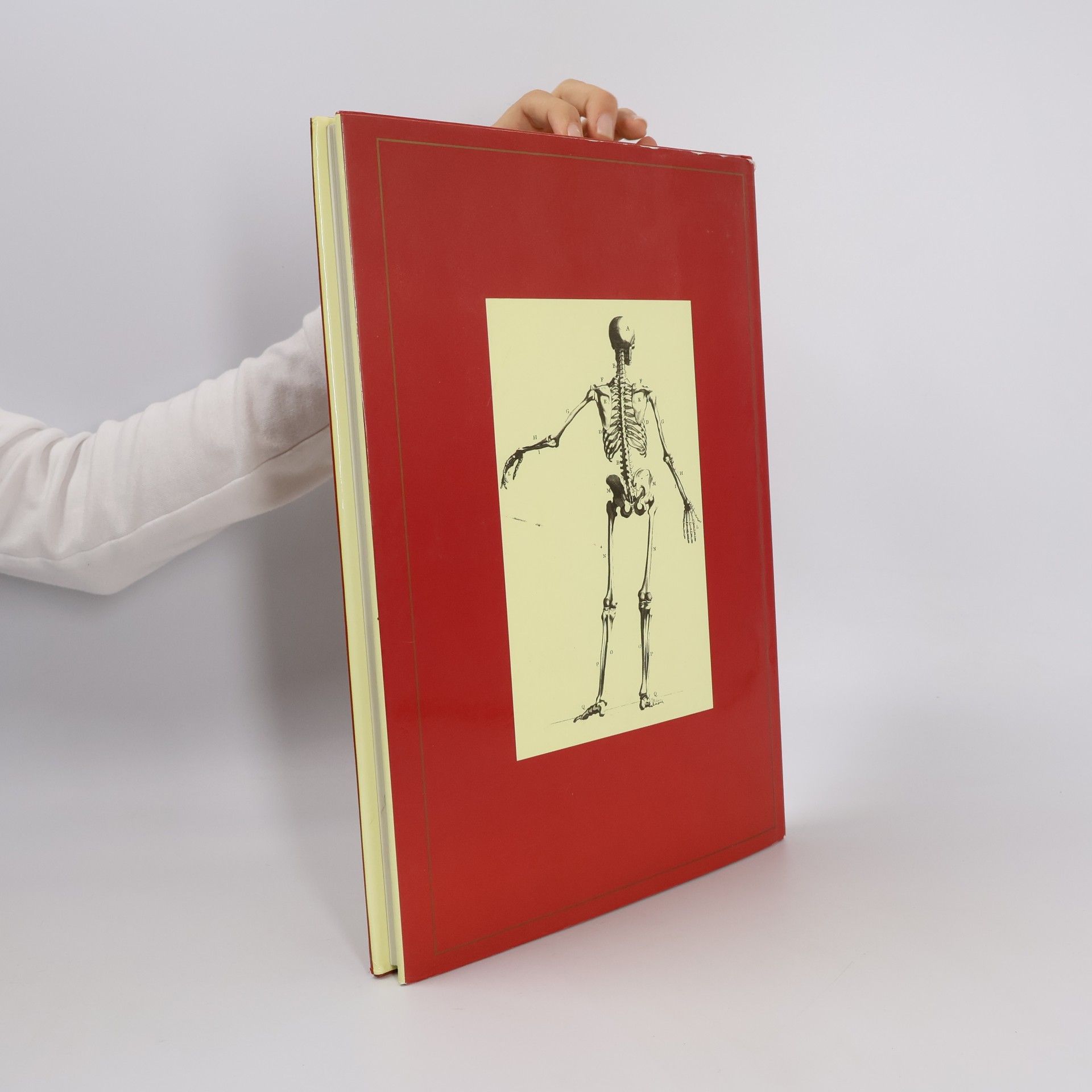 Ian Simpson Anatomie člověka. S kresbami Leonarda da Vinciho, Johna Flaxmana, Henryho Graye a dalších