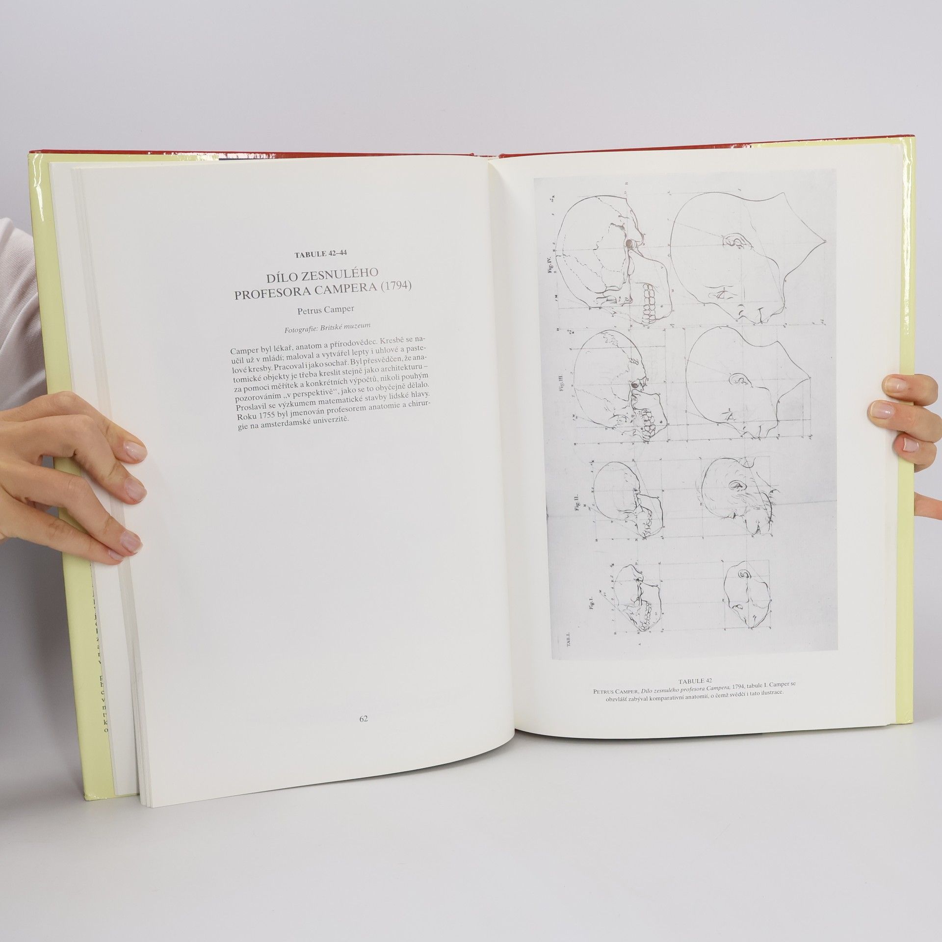 Ian Simpson Anatomie člověka. S kresbami Leonarda da Vinciho, Johna Flaxmana, Henryho Graye a dalších