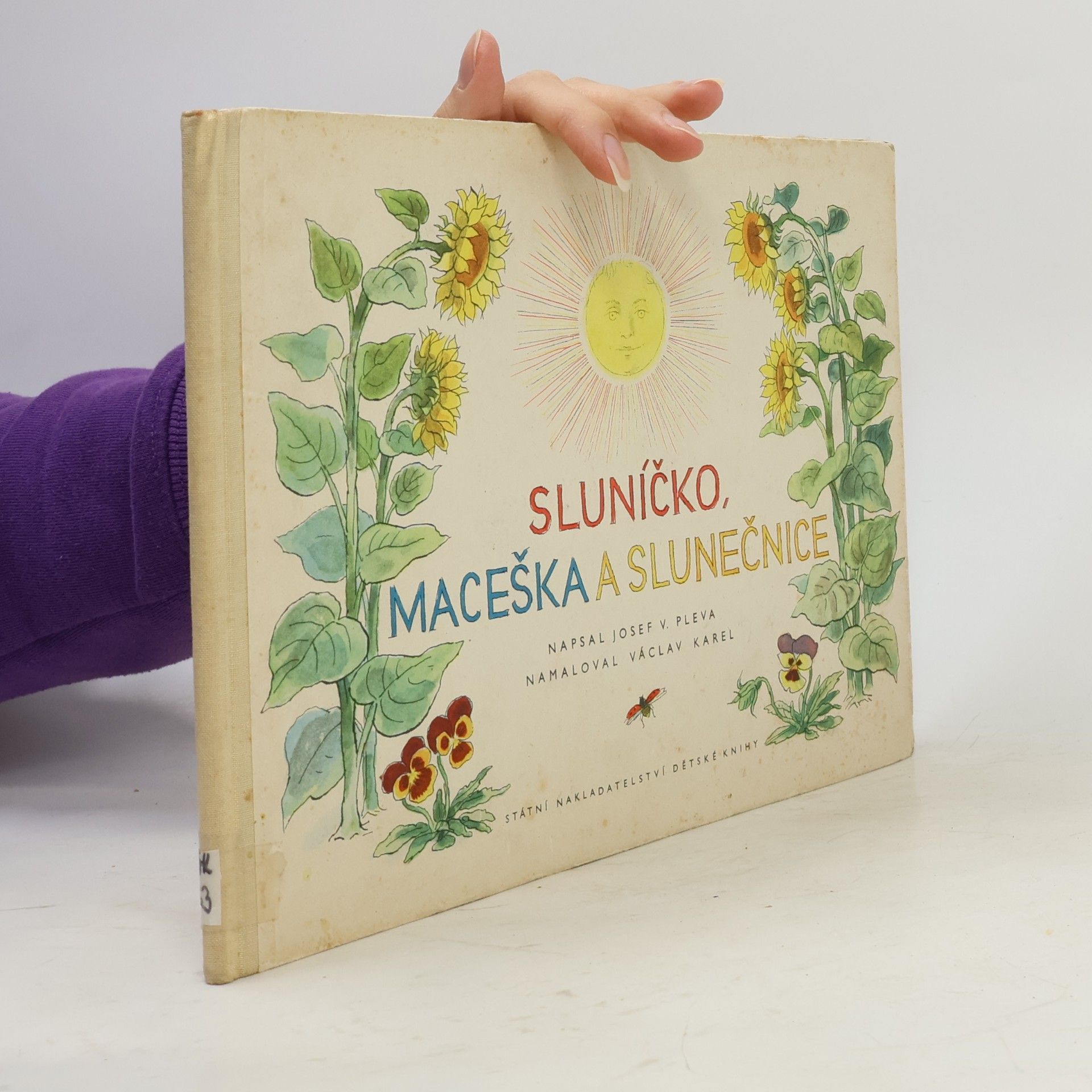 Sluníčko, maceška a slunečnice