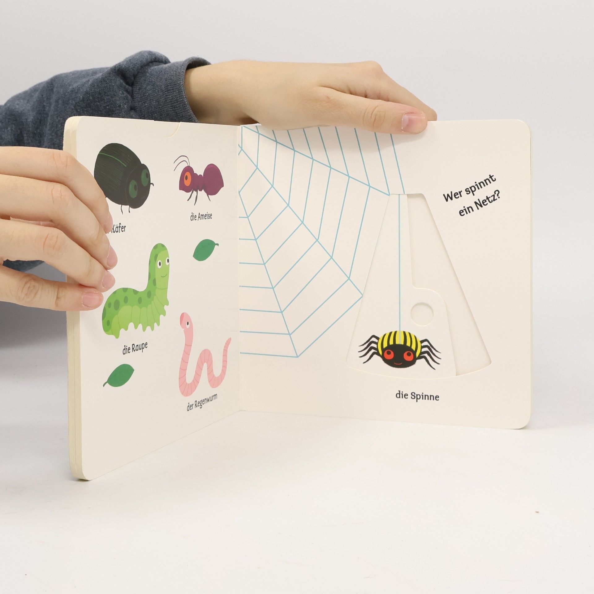 Kolektiv autorů Mein erstes Buch von den kleinen Tieren