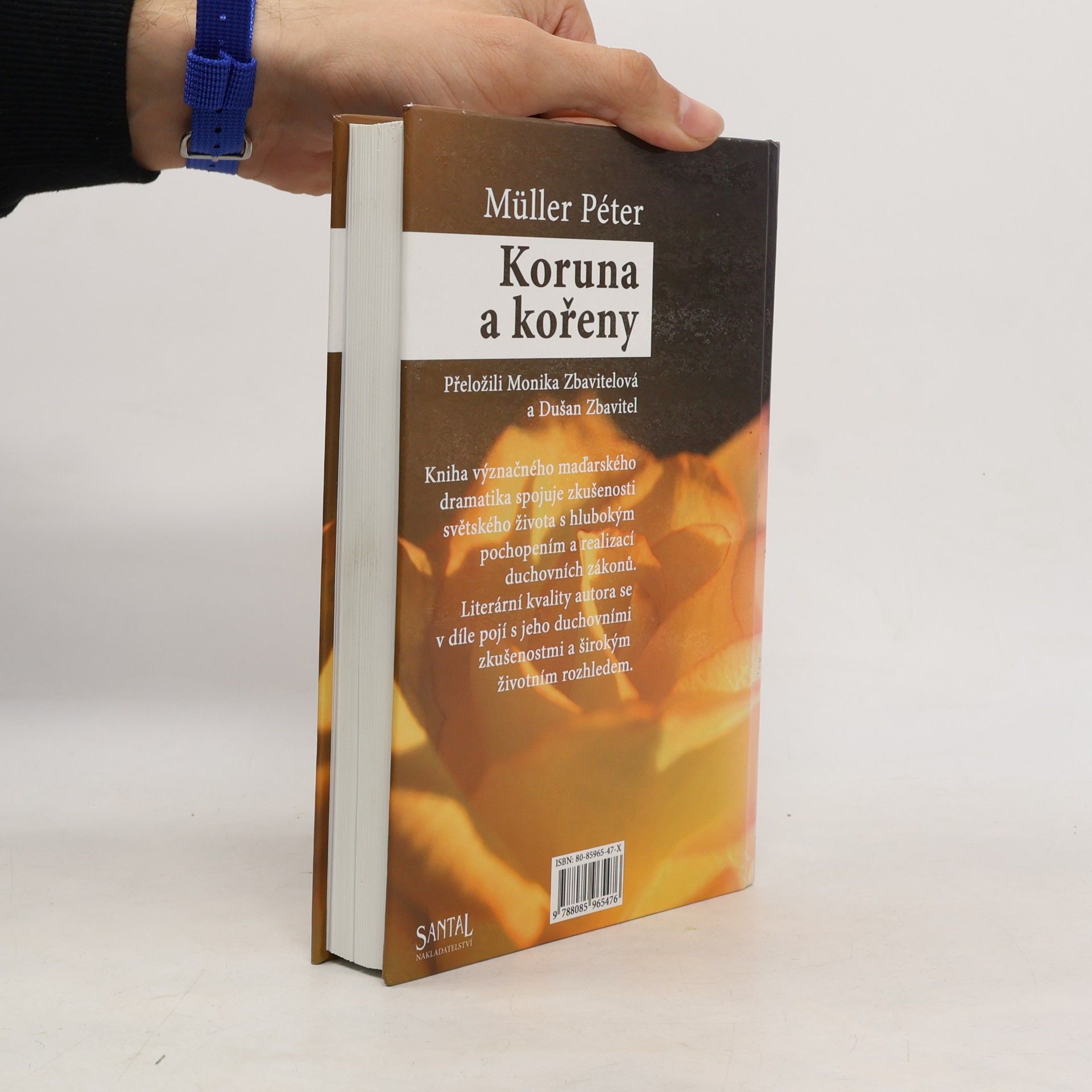 Peter M. Müller Koruna a kořeny